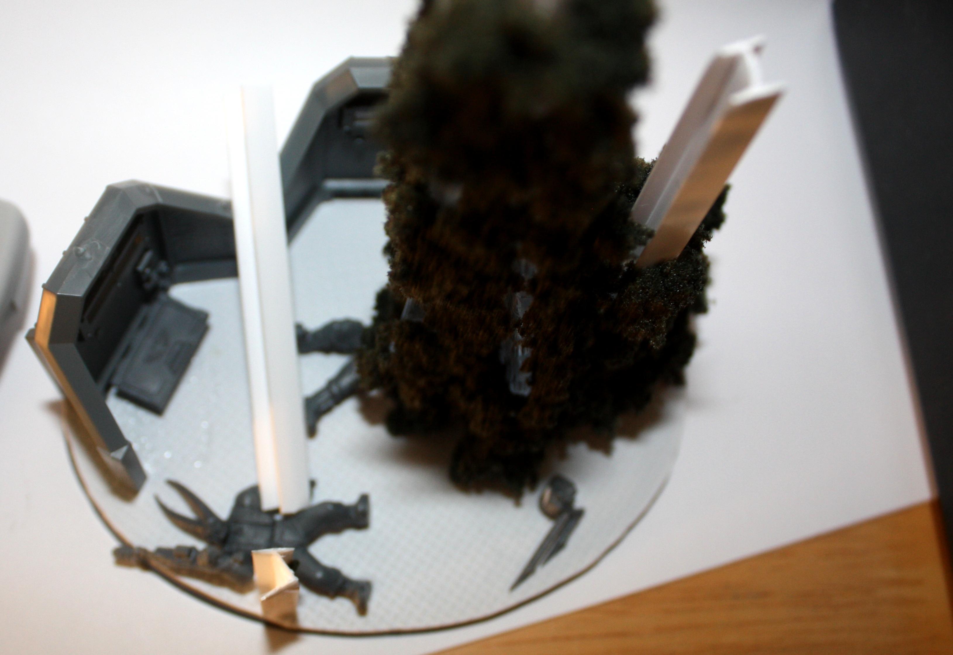 scenic base