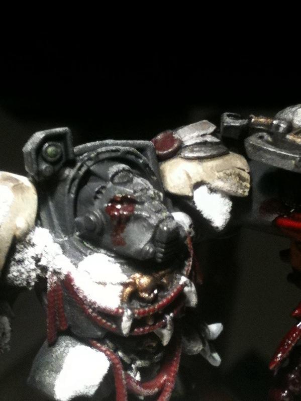 Space Marines, Space Wolves, Terminator Armor