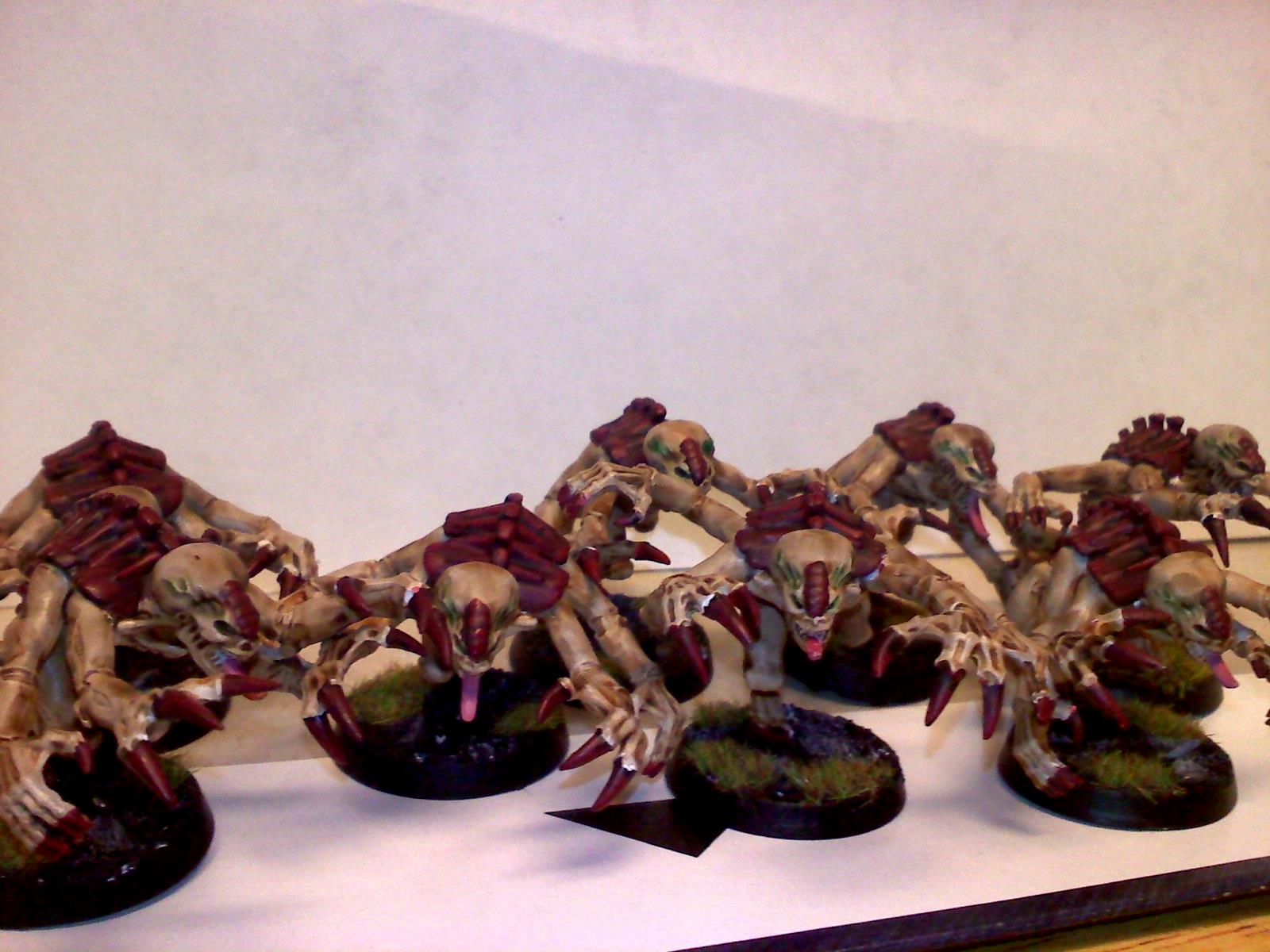 Genestealer, Hive Fleet Kraken, Tyranids