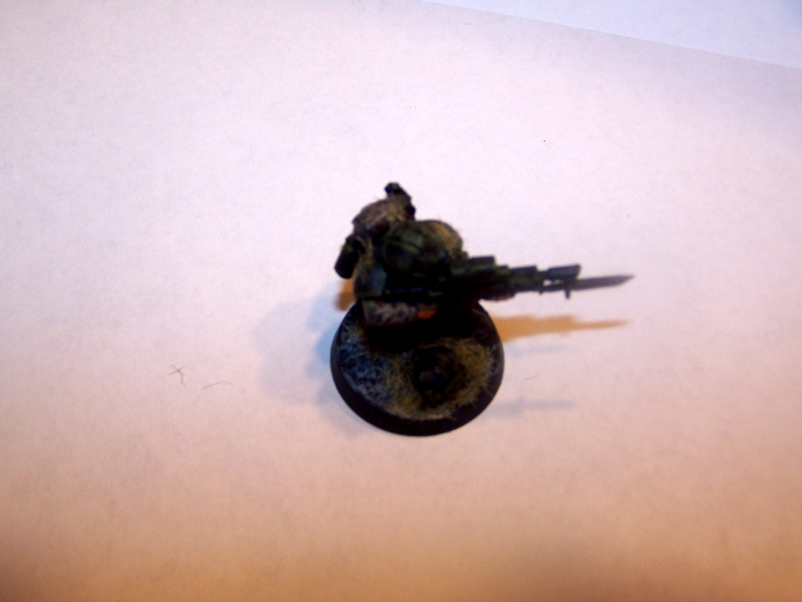 Camouflage, Guard, Imperial, Snipers