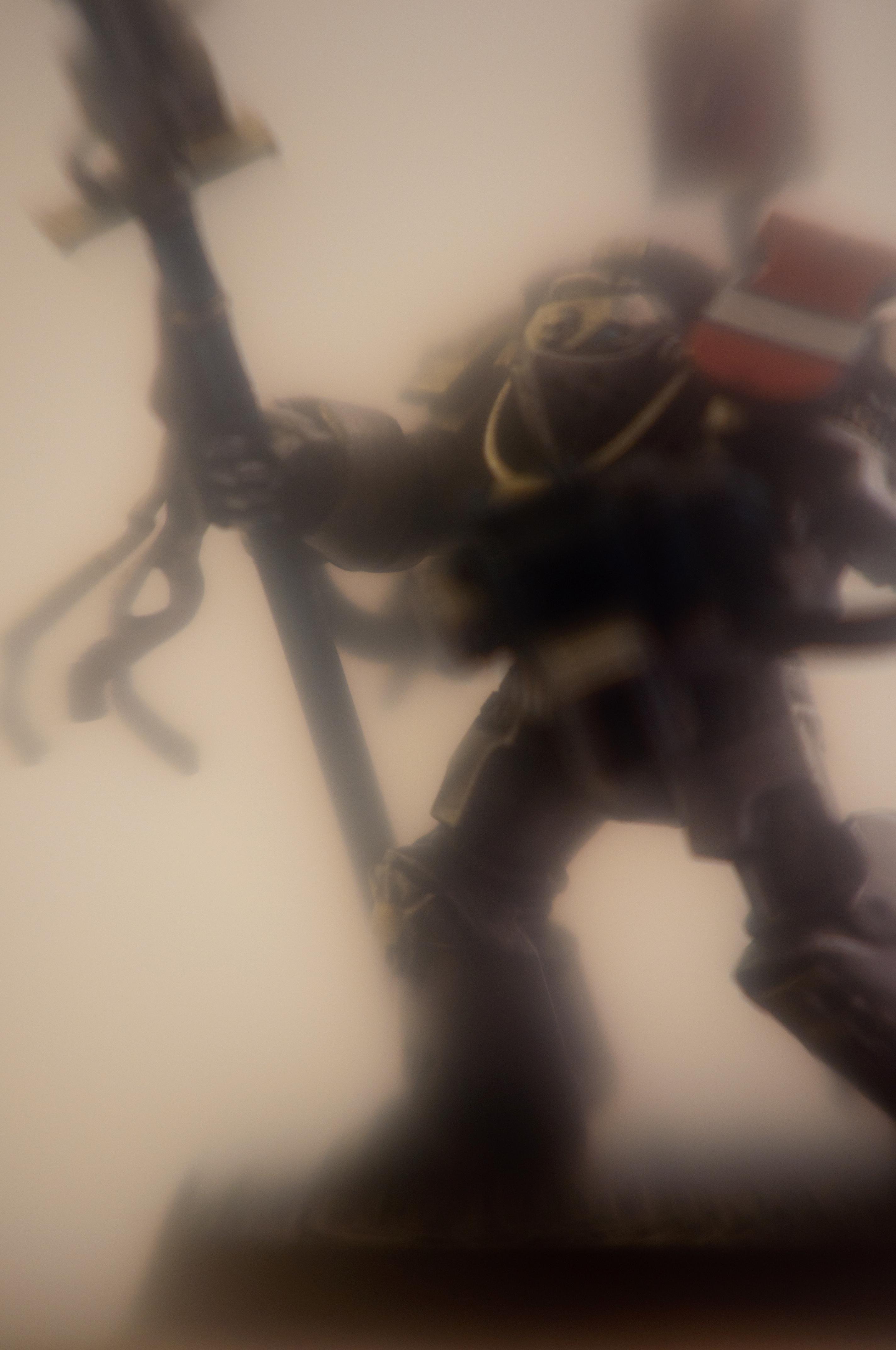 Grey, Knights, Paladin