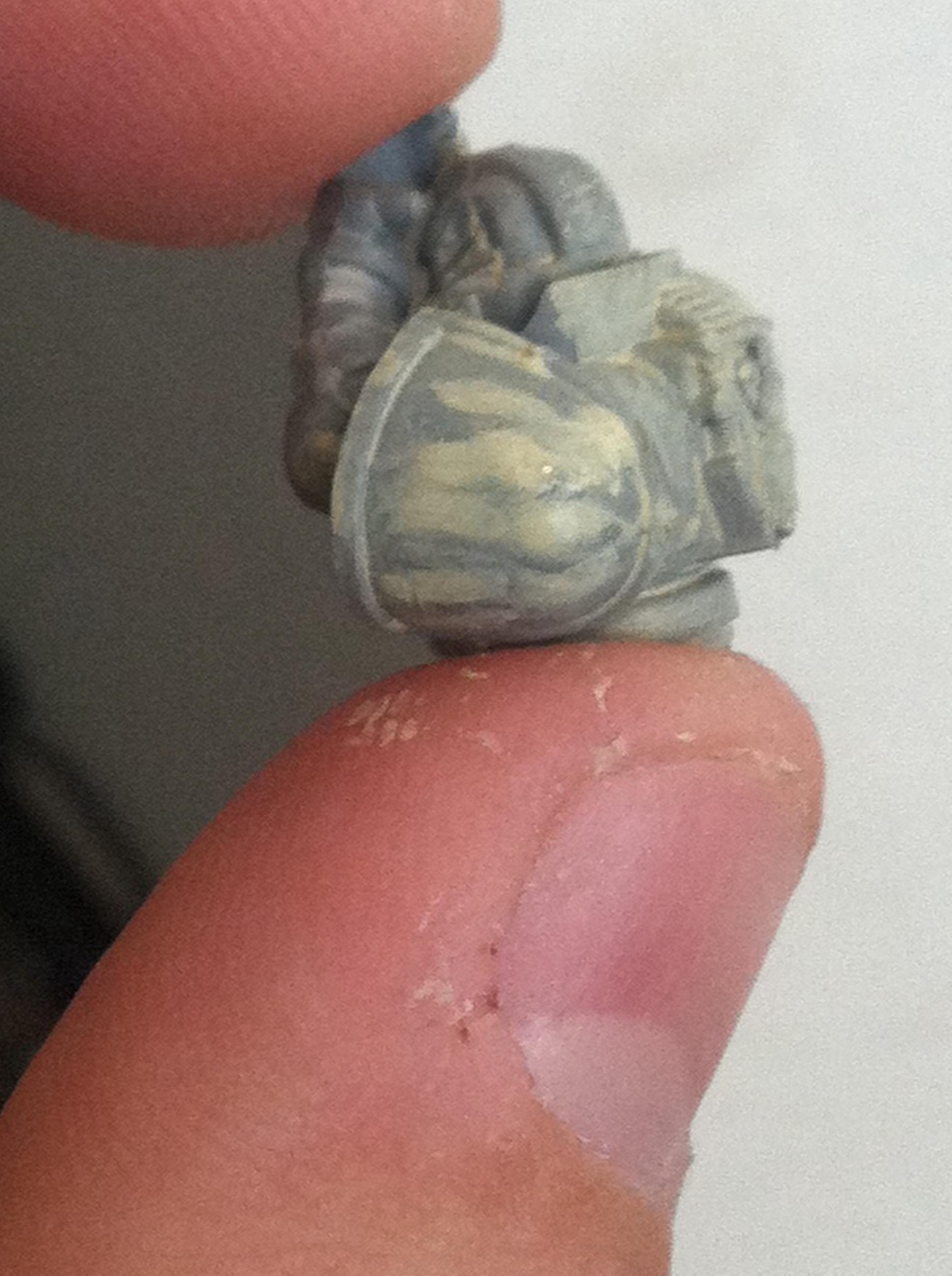 Slop paint n the model, then dunk the brush clean in water