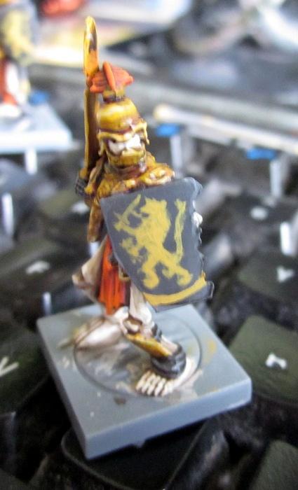 First layer of lion
