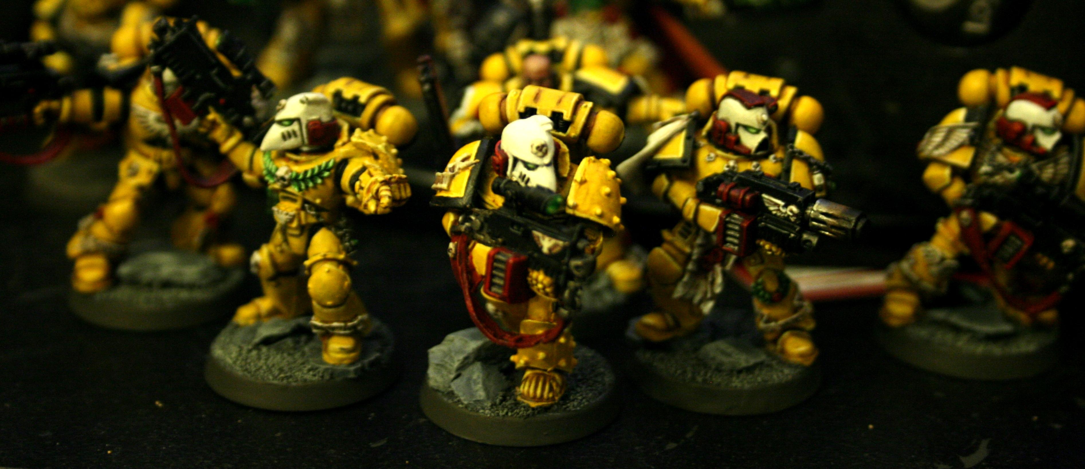 Captain, Imperial Fists, Stern Guard
