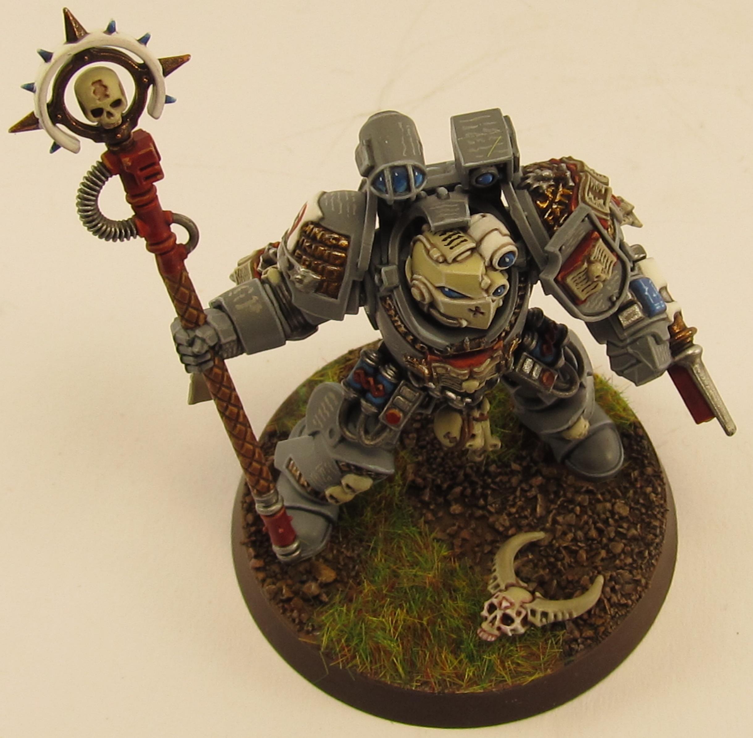 Apothecary, Grey Knights, Paladin