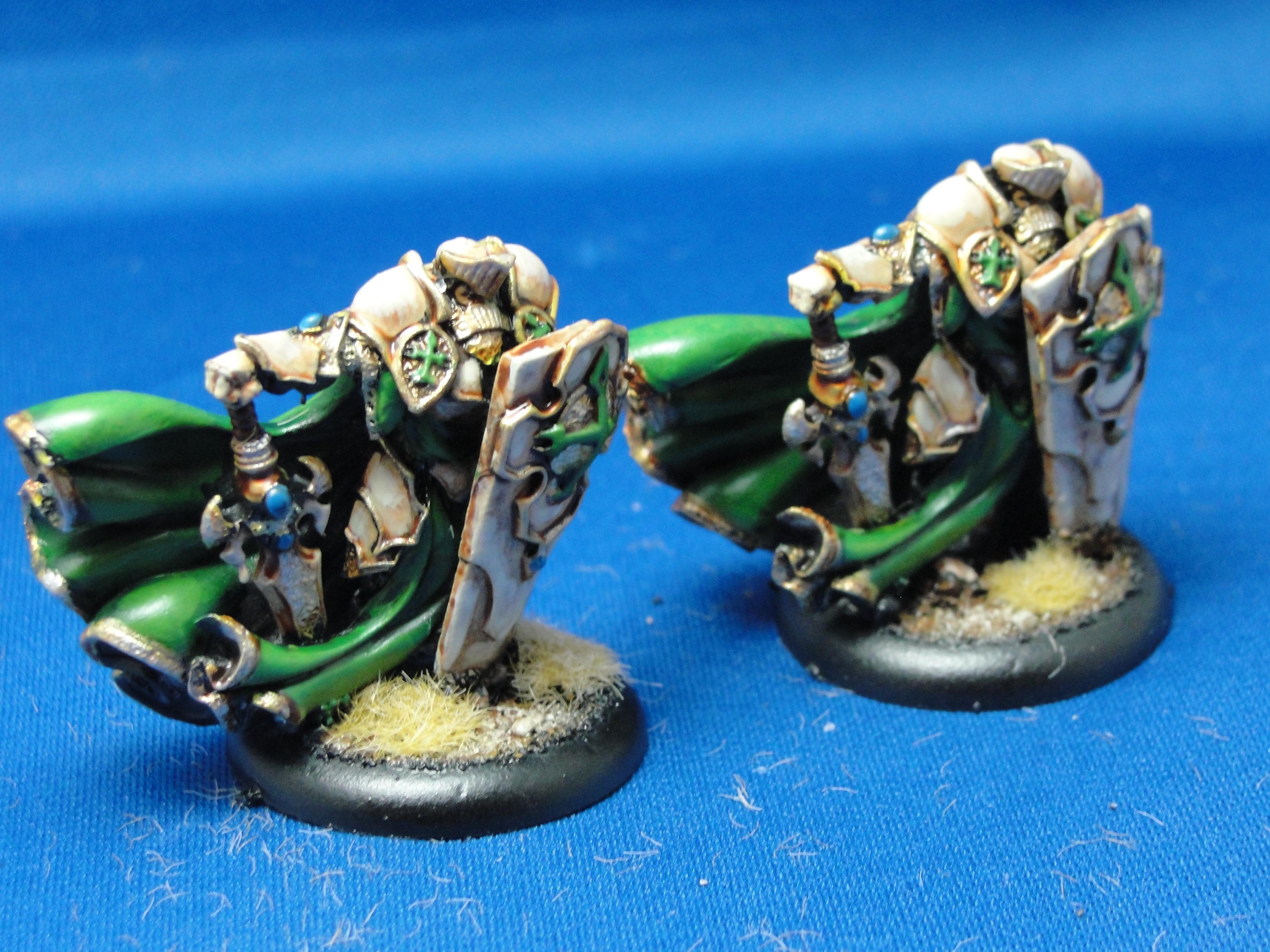 Warmachine, Protectorate of Menoth, Paladin of the Order of the Wall