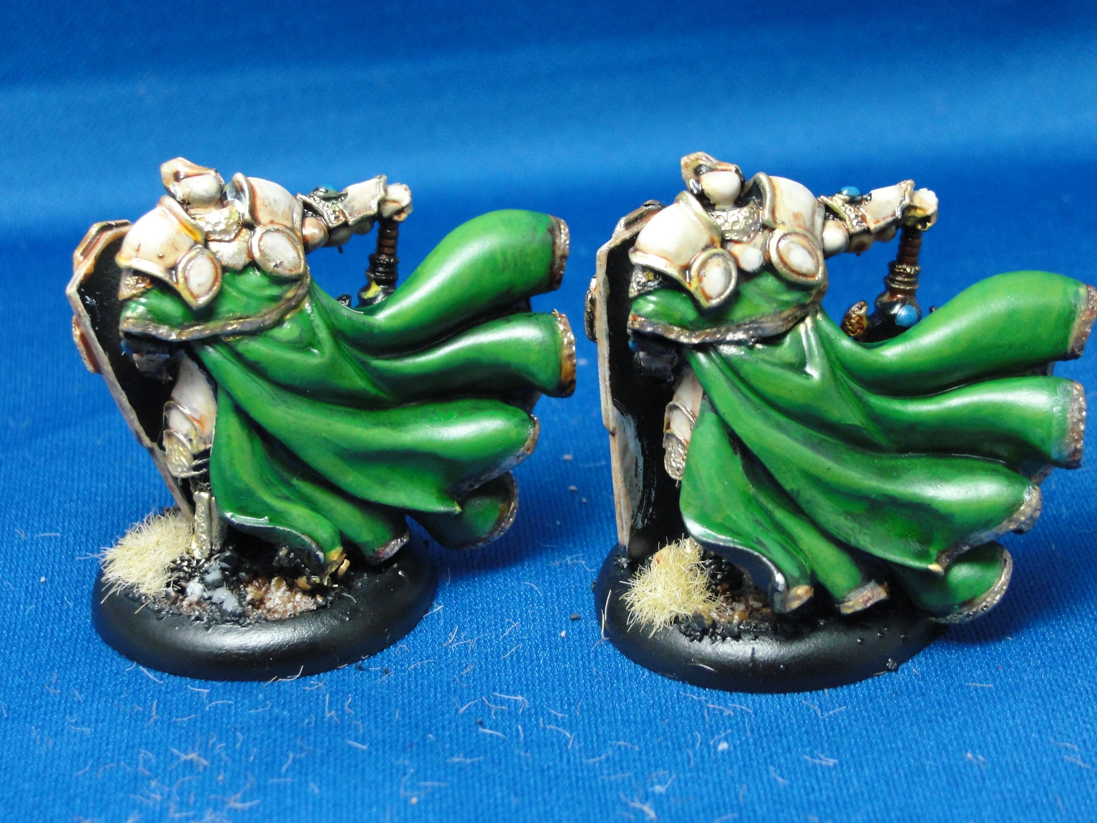 Warmachine, Protectorate of Menoth, Paladin of the Order of the Wall