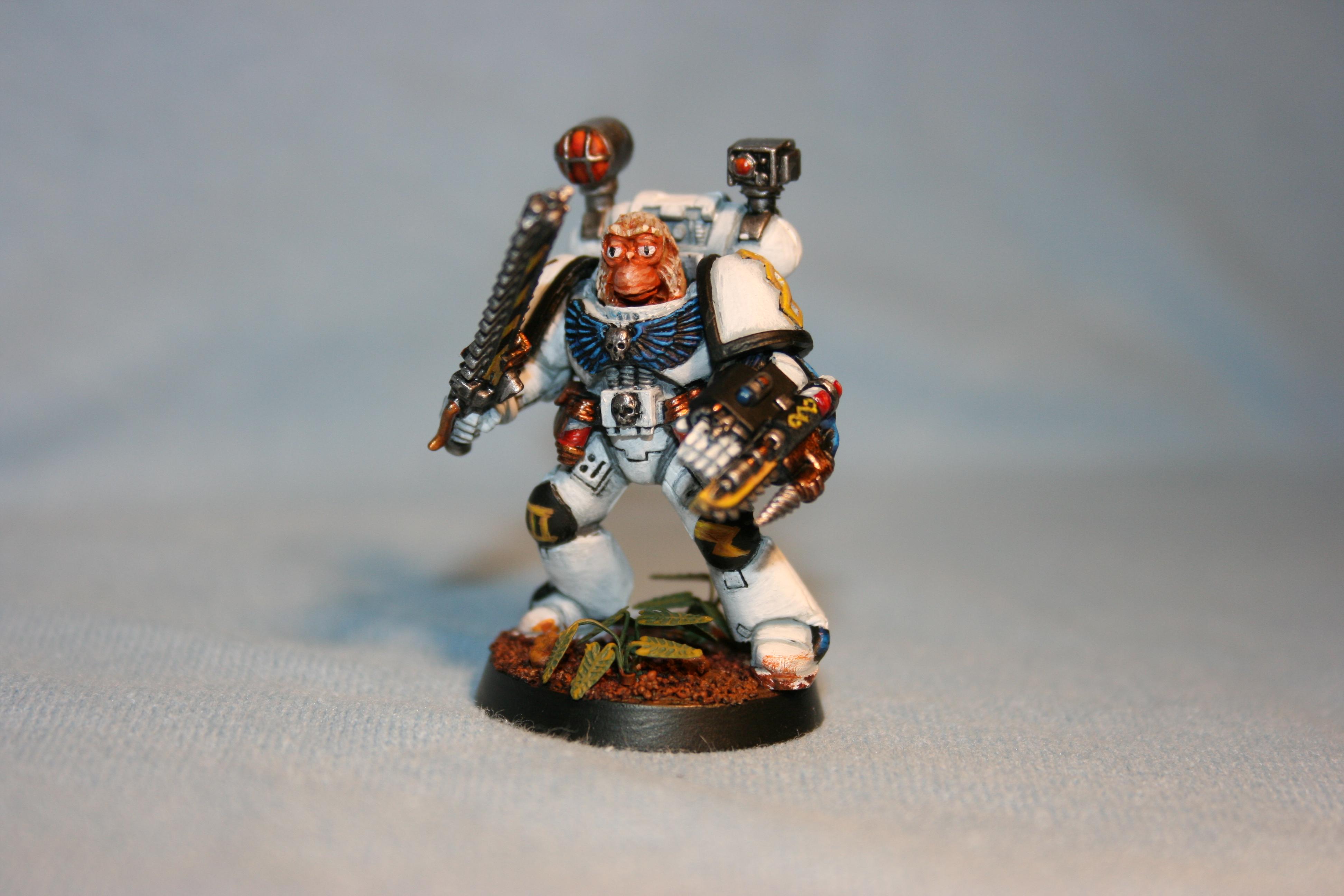 Apes, Apothecary, Bananas, Banner, Chimp Fists, Chimps, Gorillas, Imp Fists, Monkeys, Poop, Space Marines, Terminator Armor, Yellow