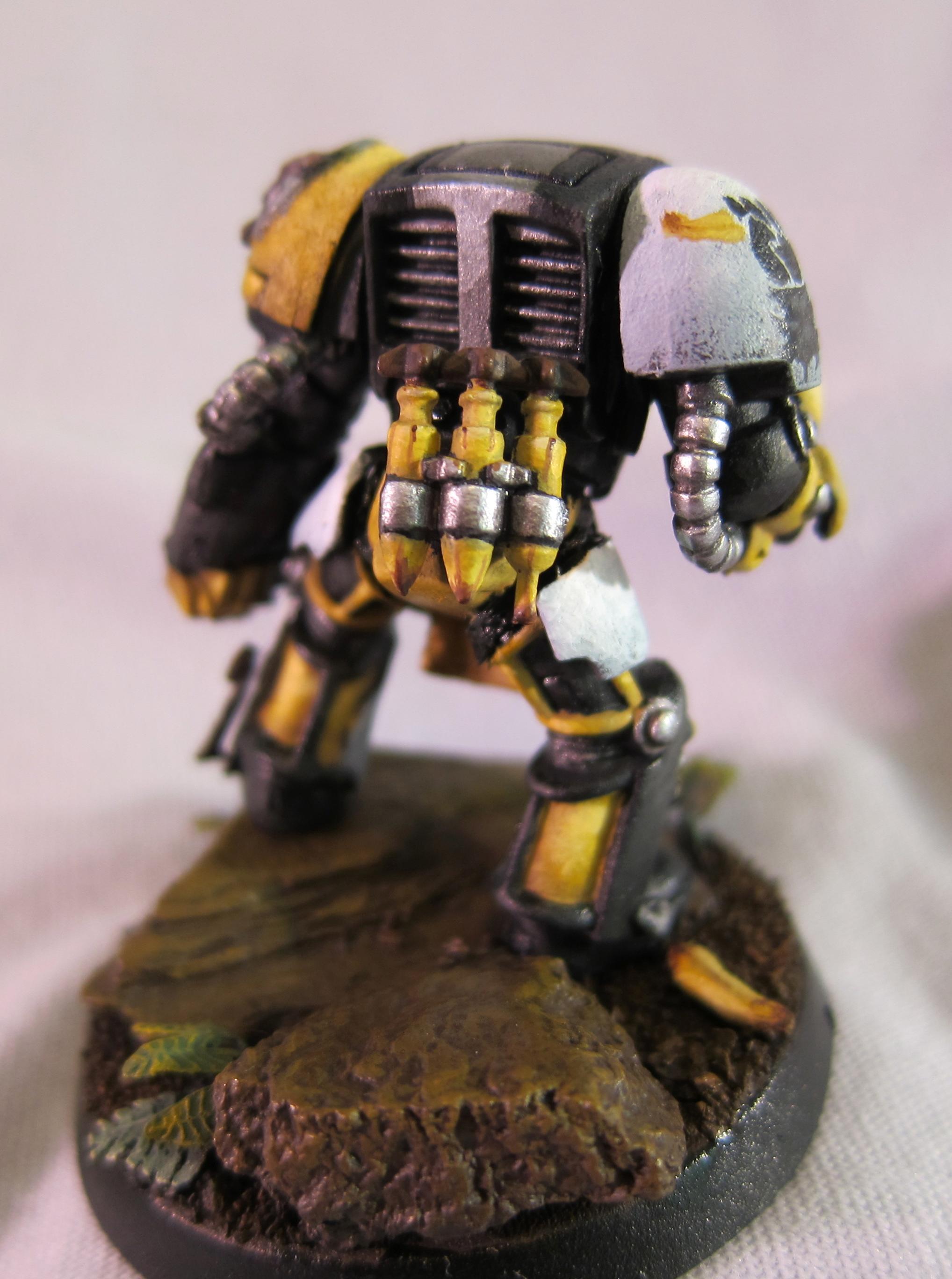 Apes, Apothecary, Bananas, Banner, Chimp Fists, Chimps, Gorillas, Imp Fists, Monkeys, Poop, Space Marines, Terminator Armor, Yellow
