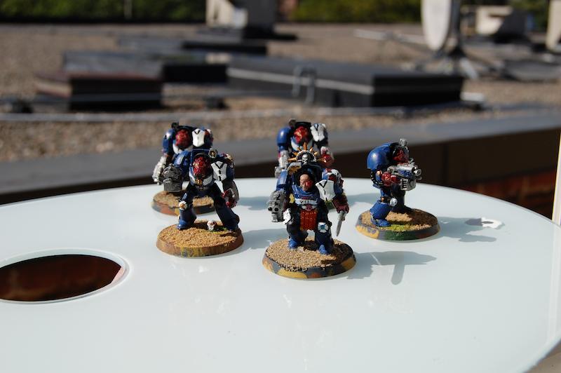 terminators 
