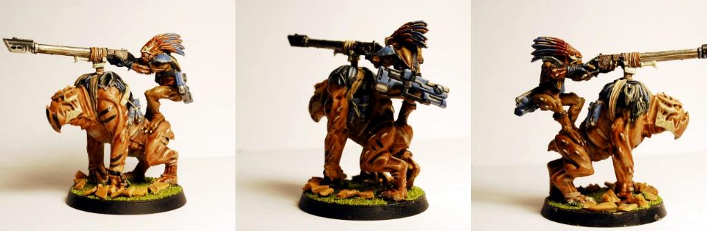 Kroot, Krootox, Tau