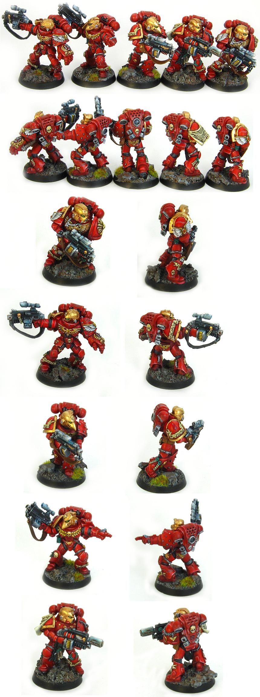 Angel, Blood, Blood Angels, Sternguard