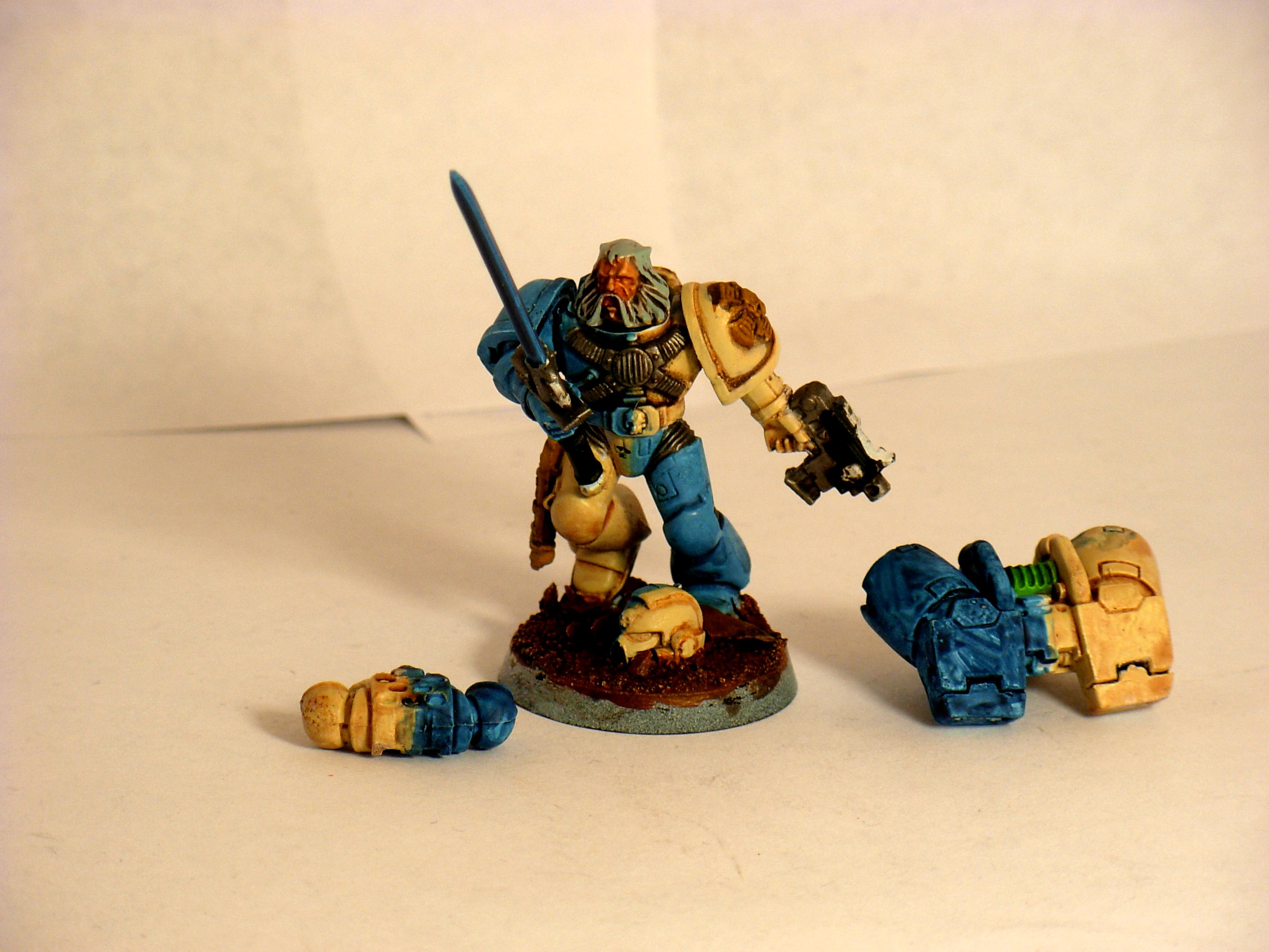 WIP Nova marine
