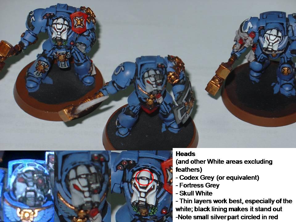 Progress of Heads