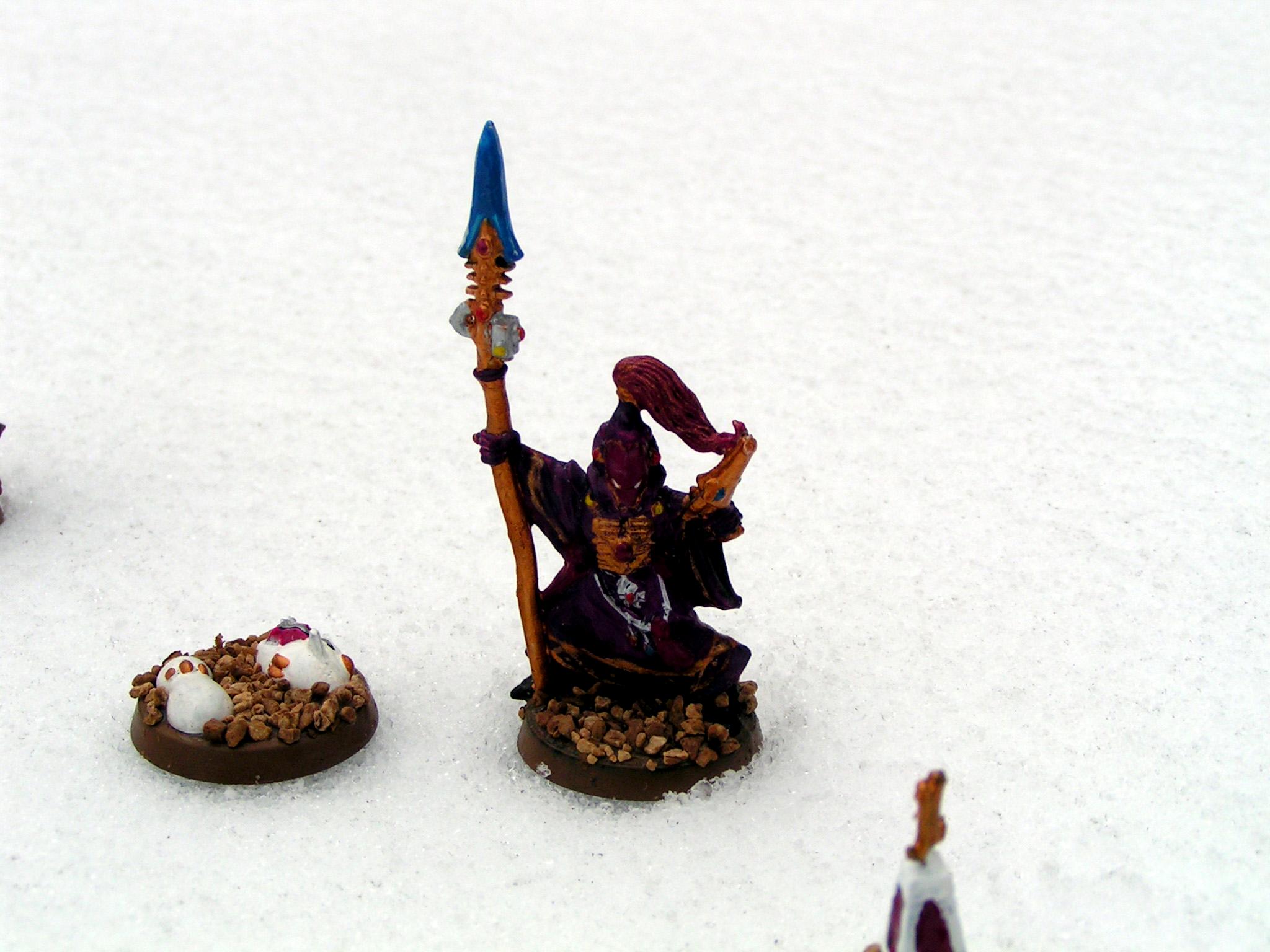 Conversion, Eldar, Farseer, Gyrinx, High Elves, Seer Council, Warlock