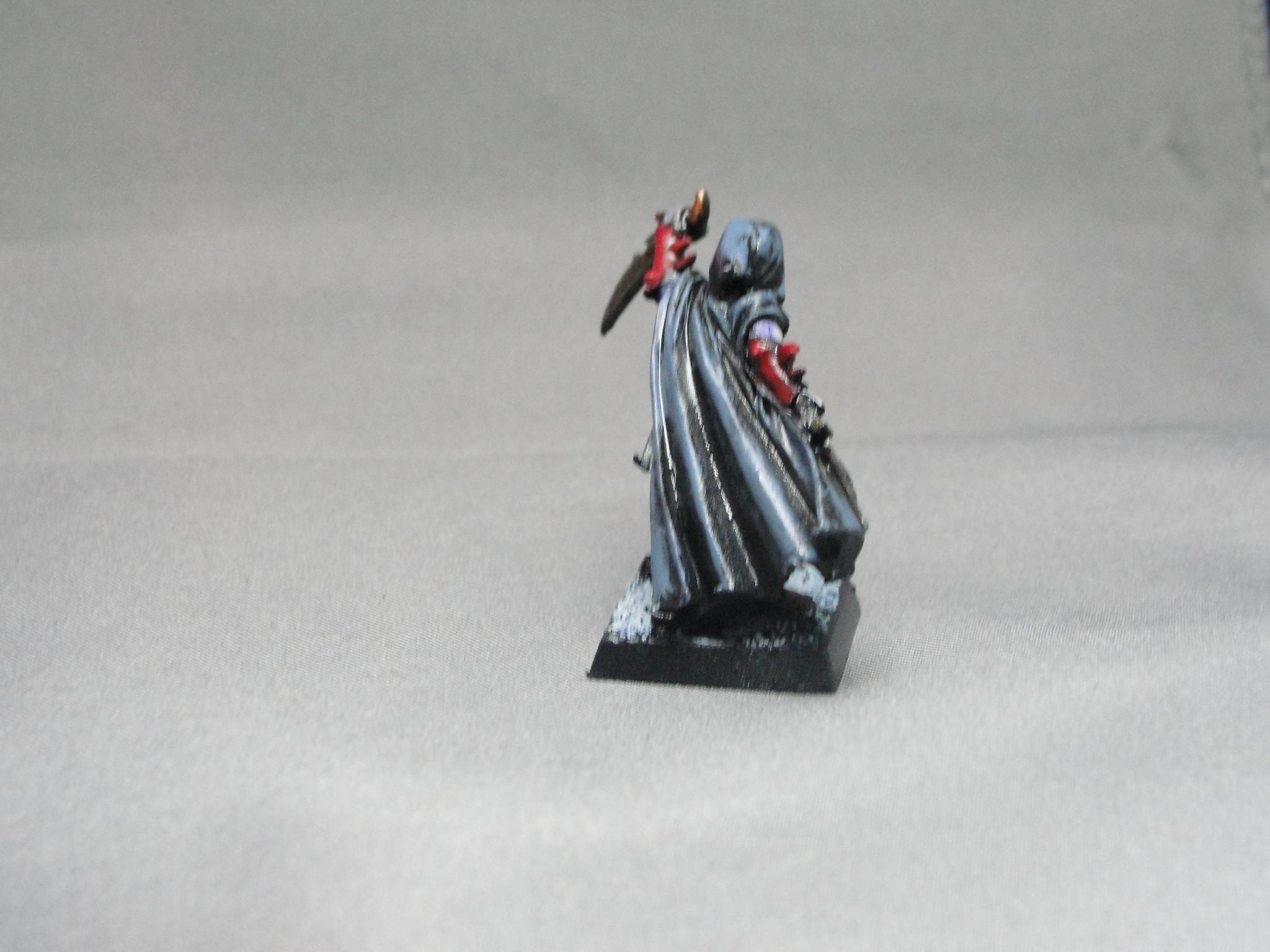 Warhammer Fantasy, Dark Elves, Assassin
