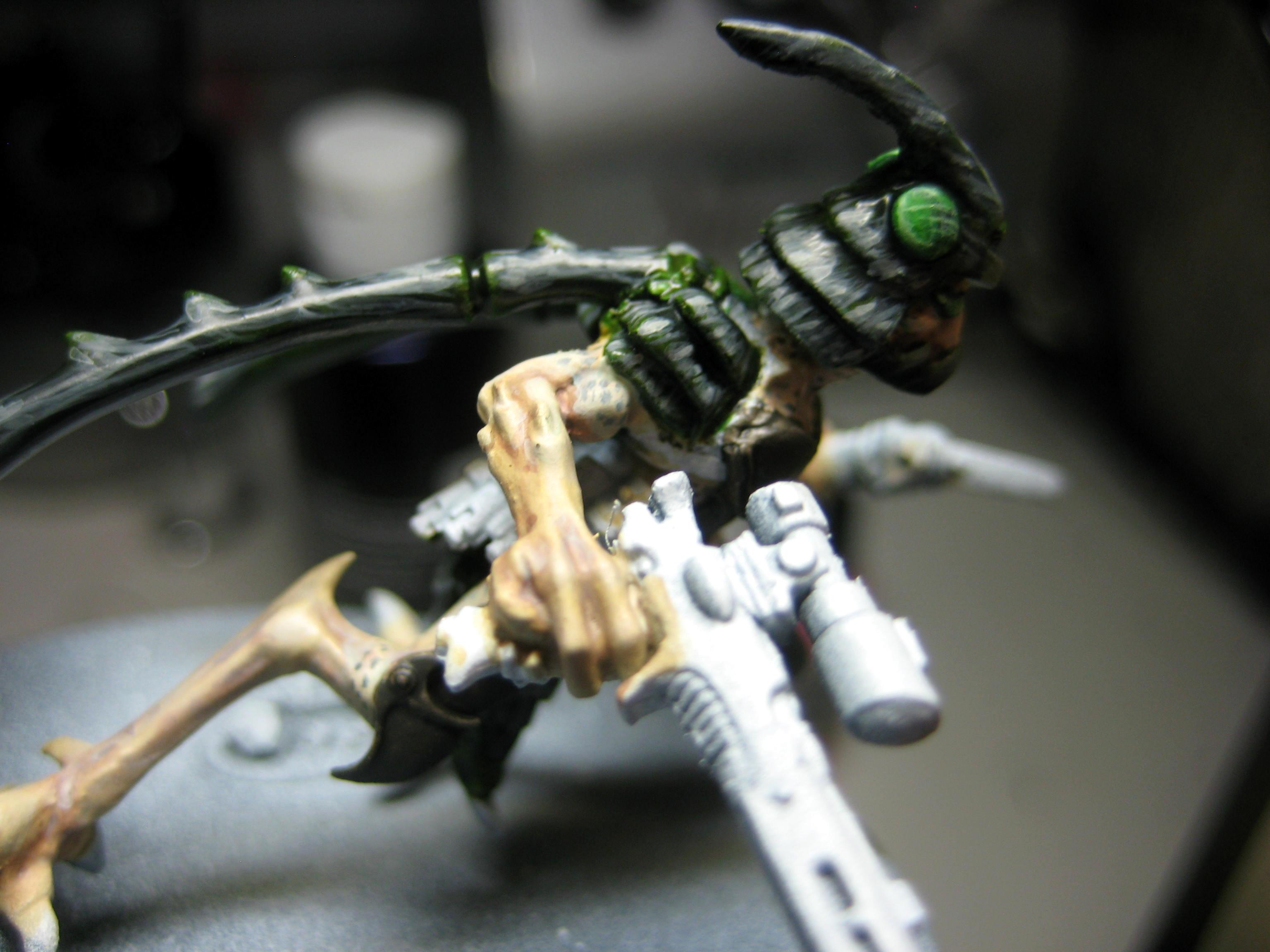 Conversion, Pip, Samurai, Stingwing, Tau, Warhammer 40,000
