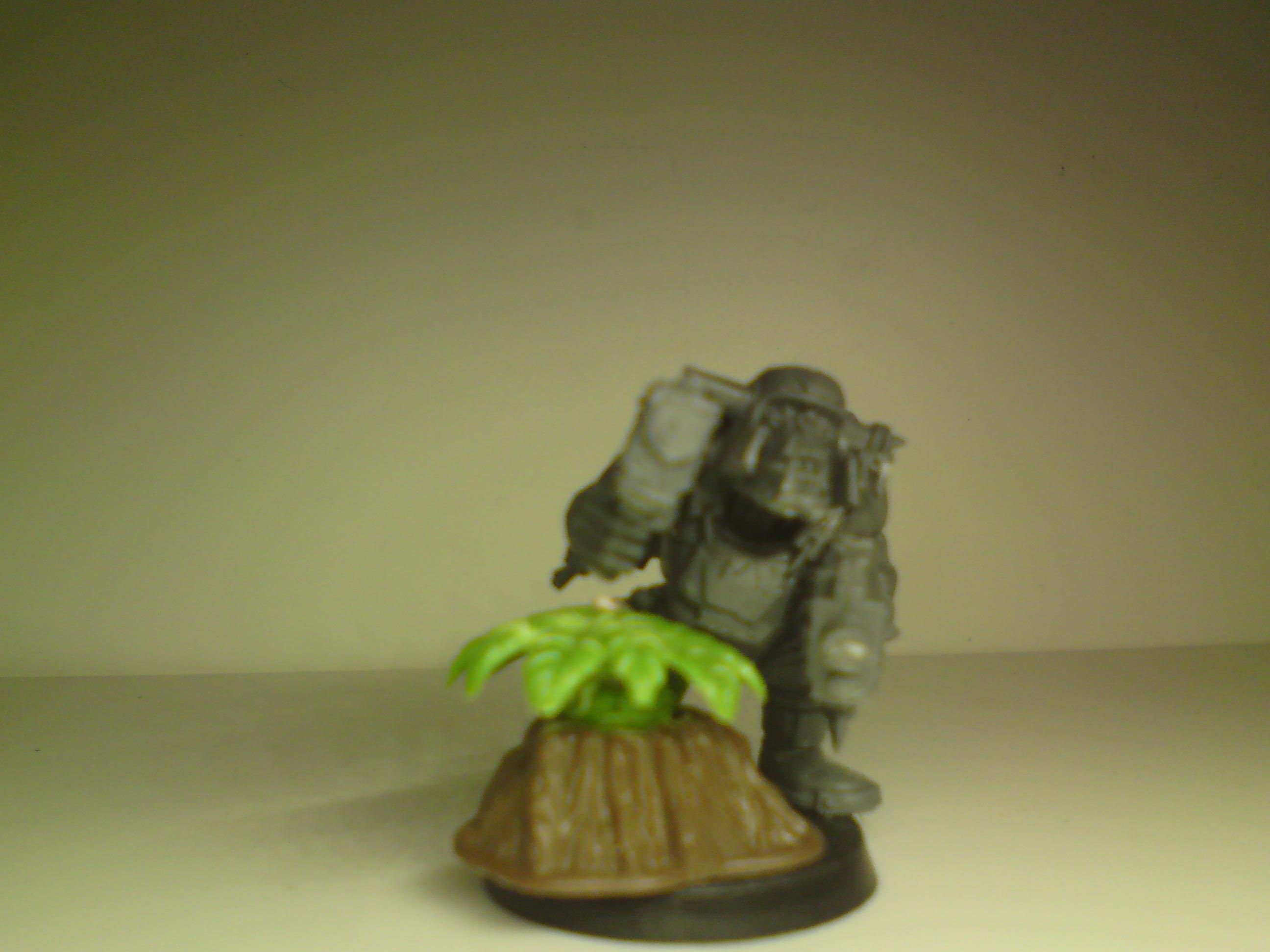 Deathskulls, Looting, Marine Abuse, Ork Deathskulls, Orks, Warhammer 40,000