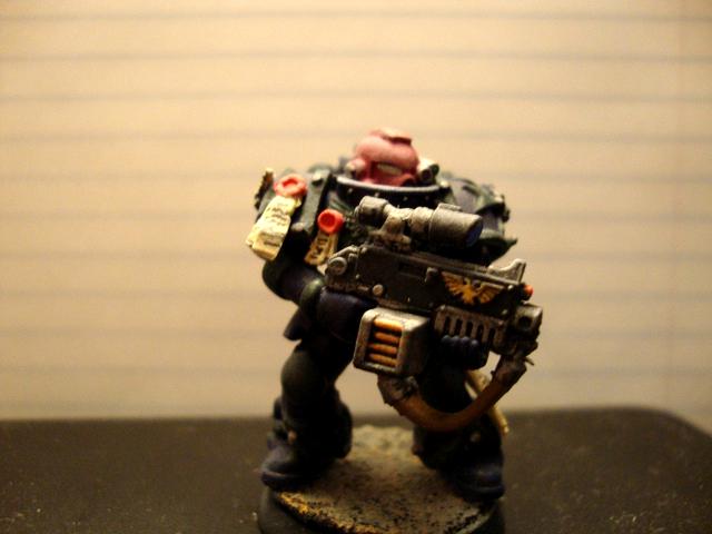 Sternguard Veteran 