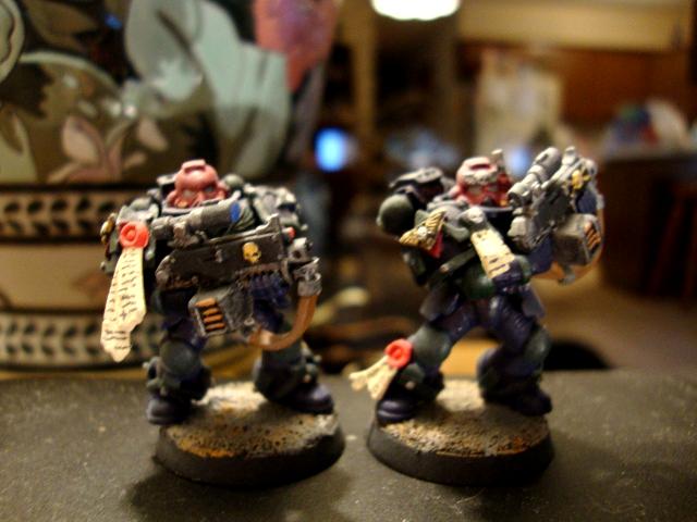 Sternguard vets 3