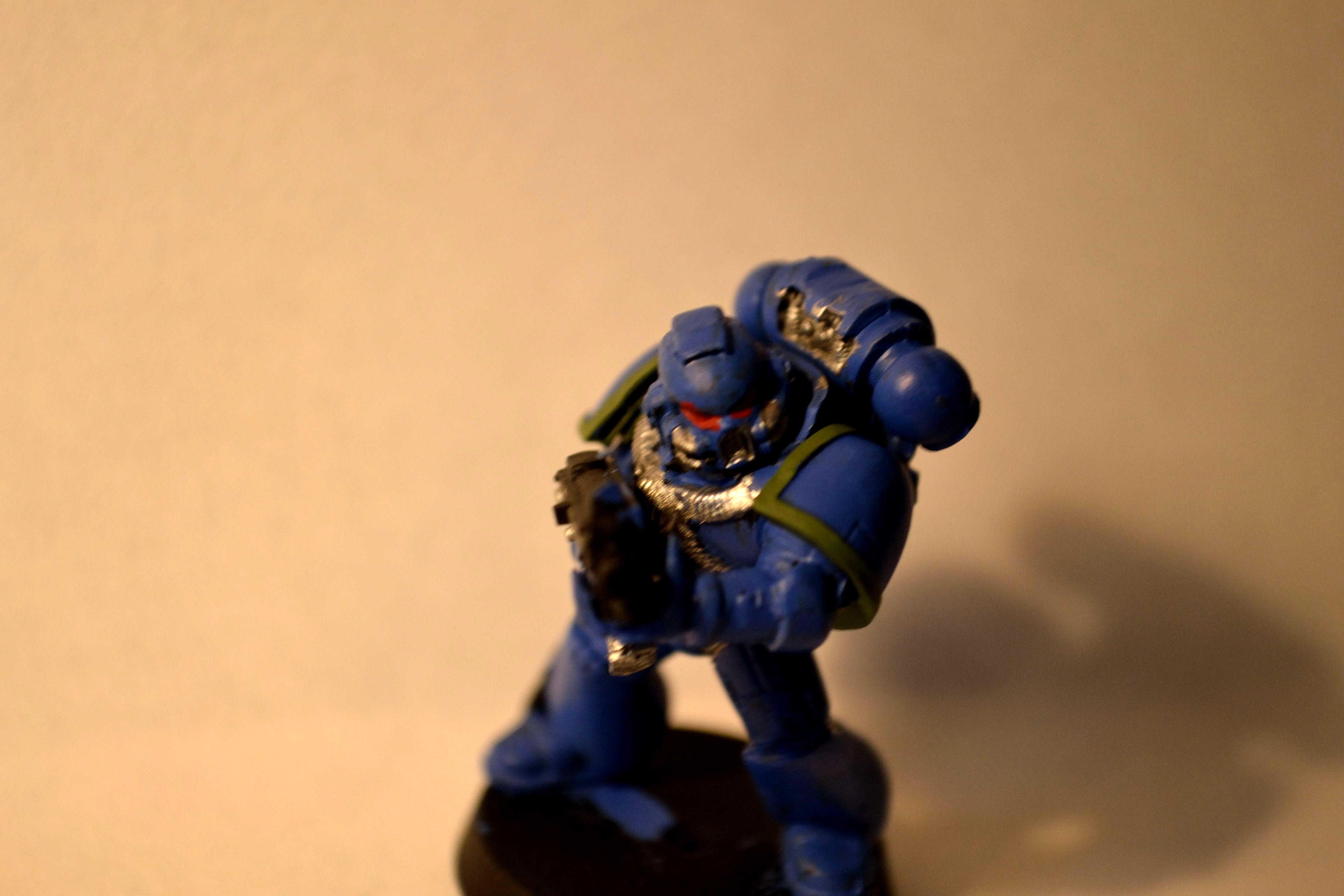WIP Marine