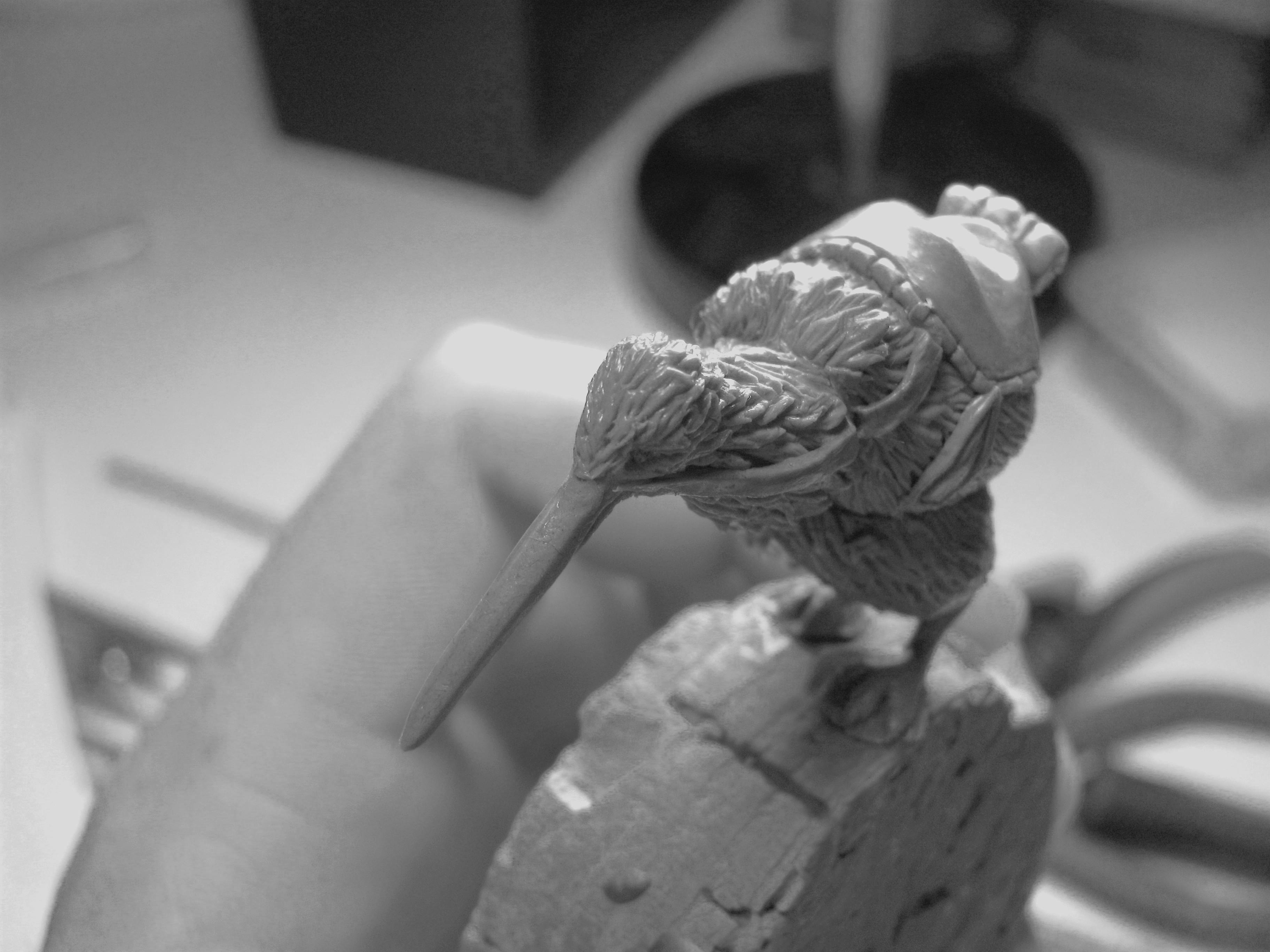 WIP - Kiwi Steed