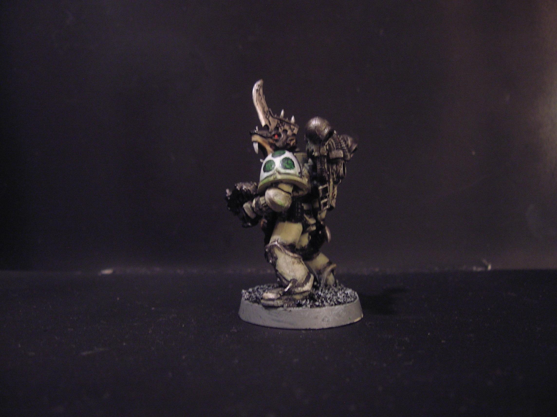 Nurgle, Plague Marines