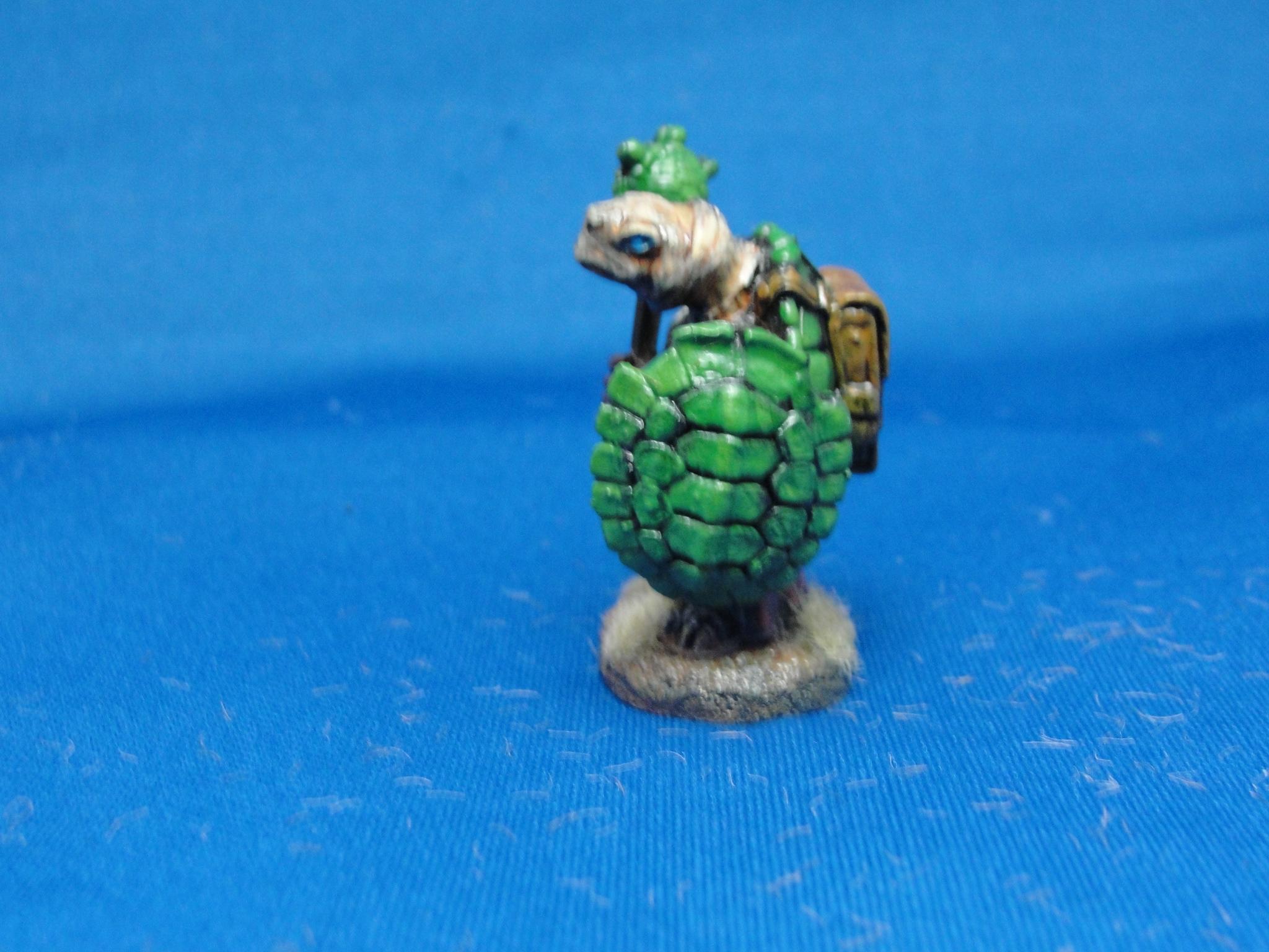 Fantasy, Adventurers, Darksword Miniatures, Tortoise Cleric