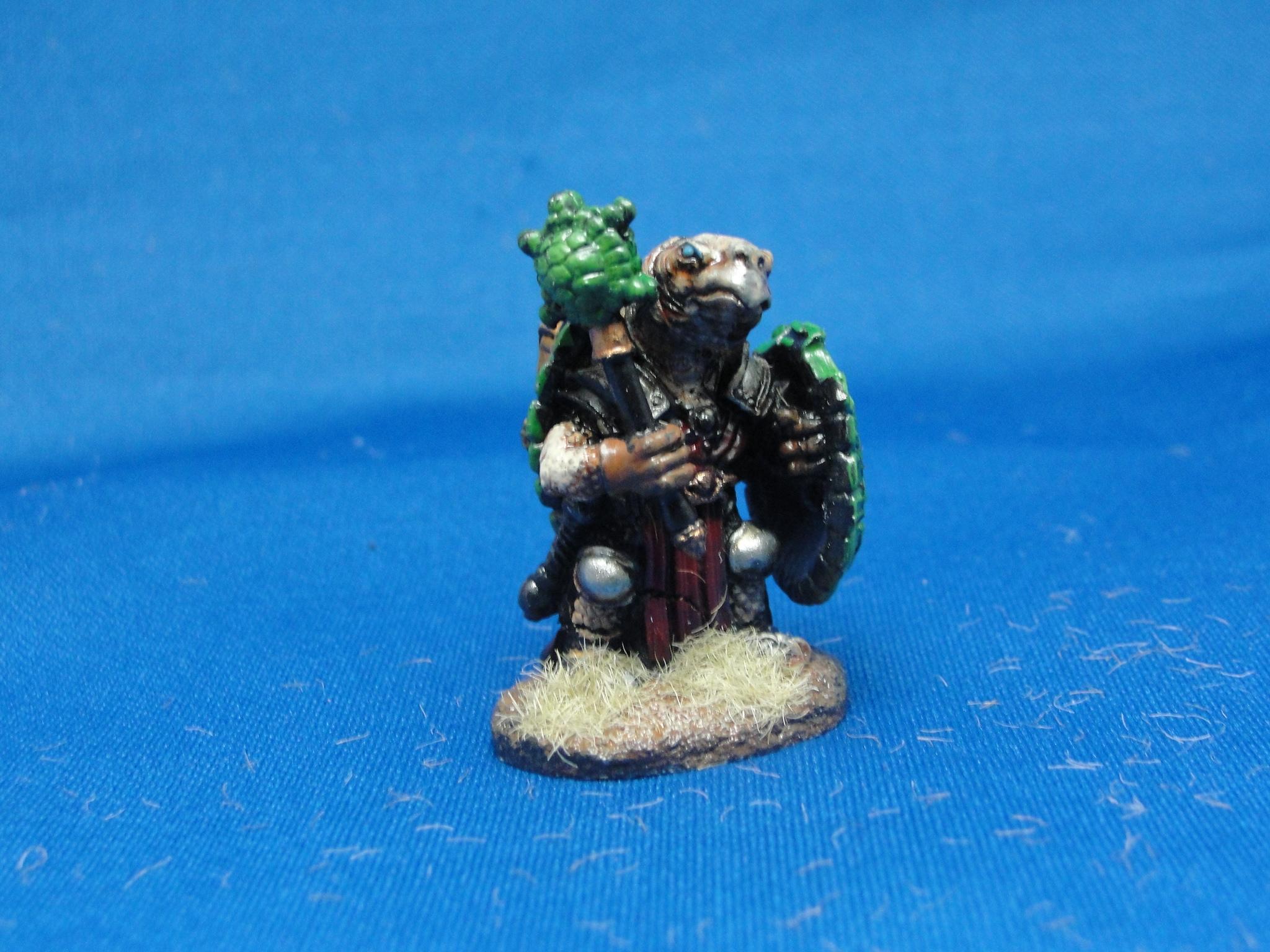 Fantasy, Adventurers, Darksword Miniatures, Tortoise Cleric