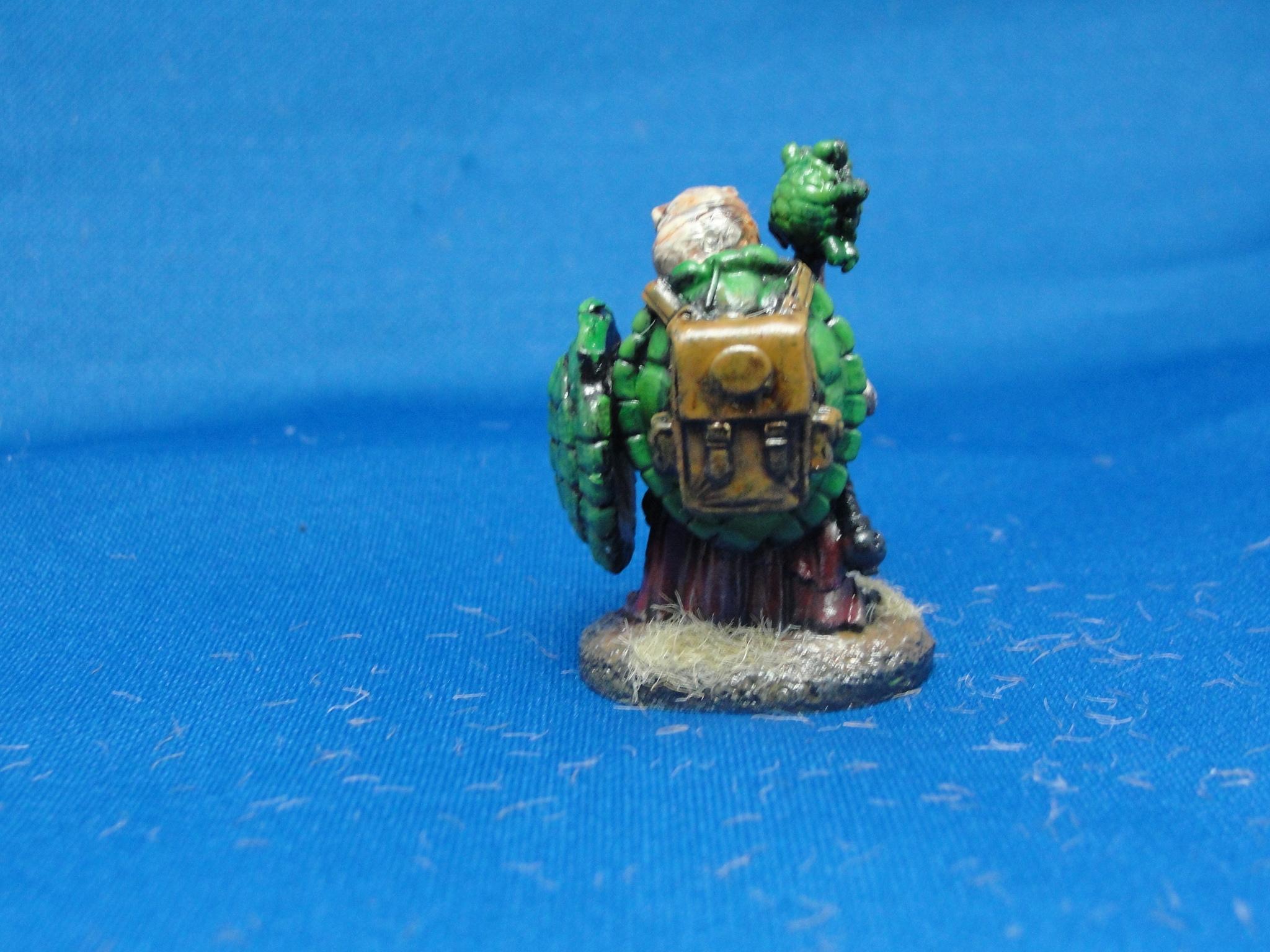 Fantasy, Adventurers, Darksword Miniatures, Tortoise Cleric