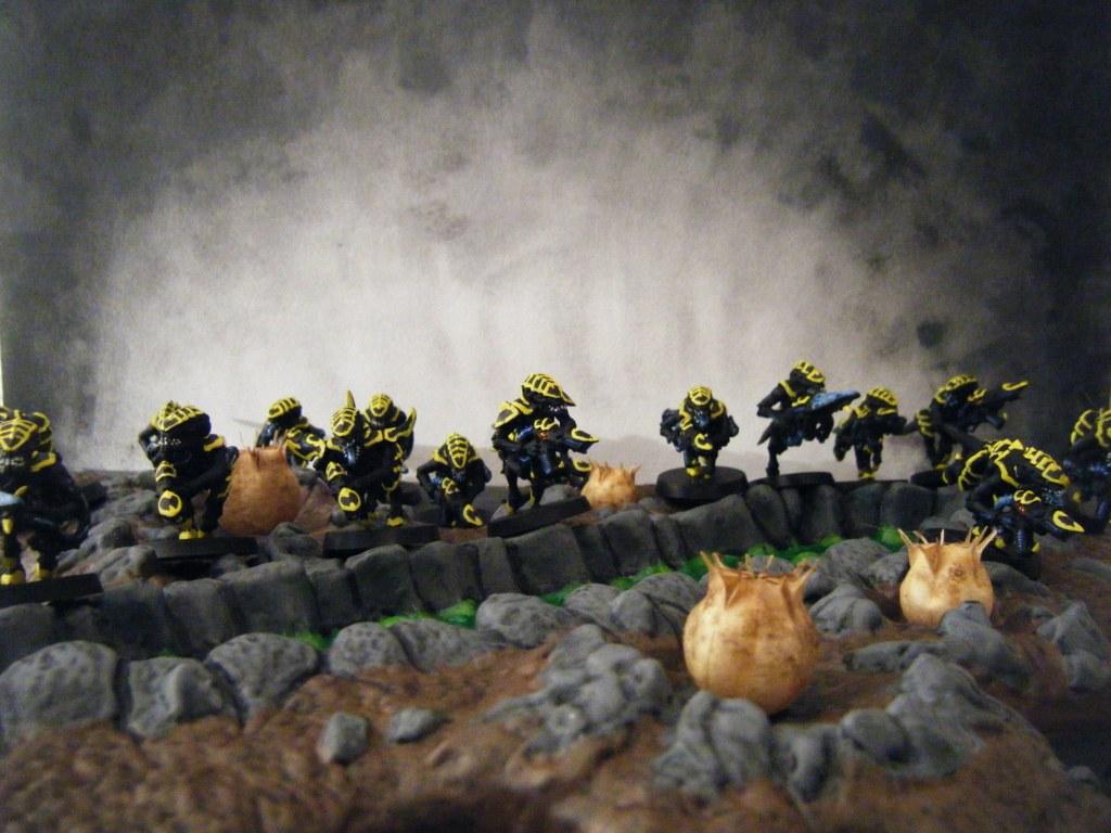 Gaunt, Gaunts, Termagants, Tyranide, Tyranides, Tyranids, Wasp