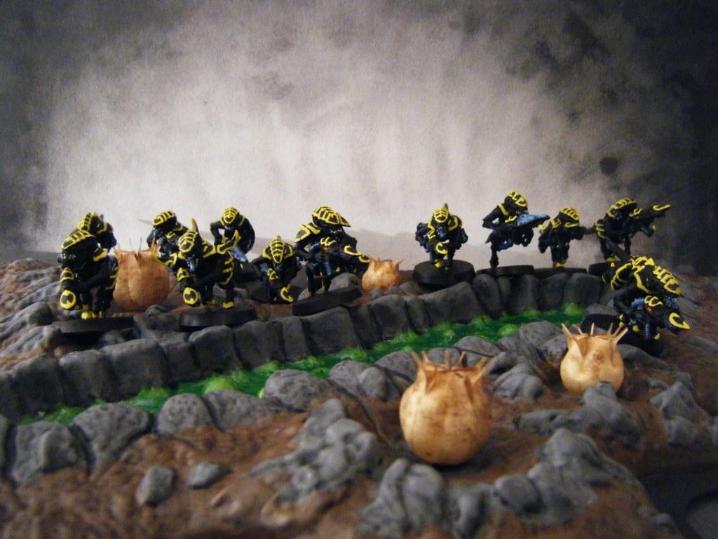 Gaunt, Gaunts, Termagants, Tyranide, Tyranides, Tyranids, Wasp