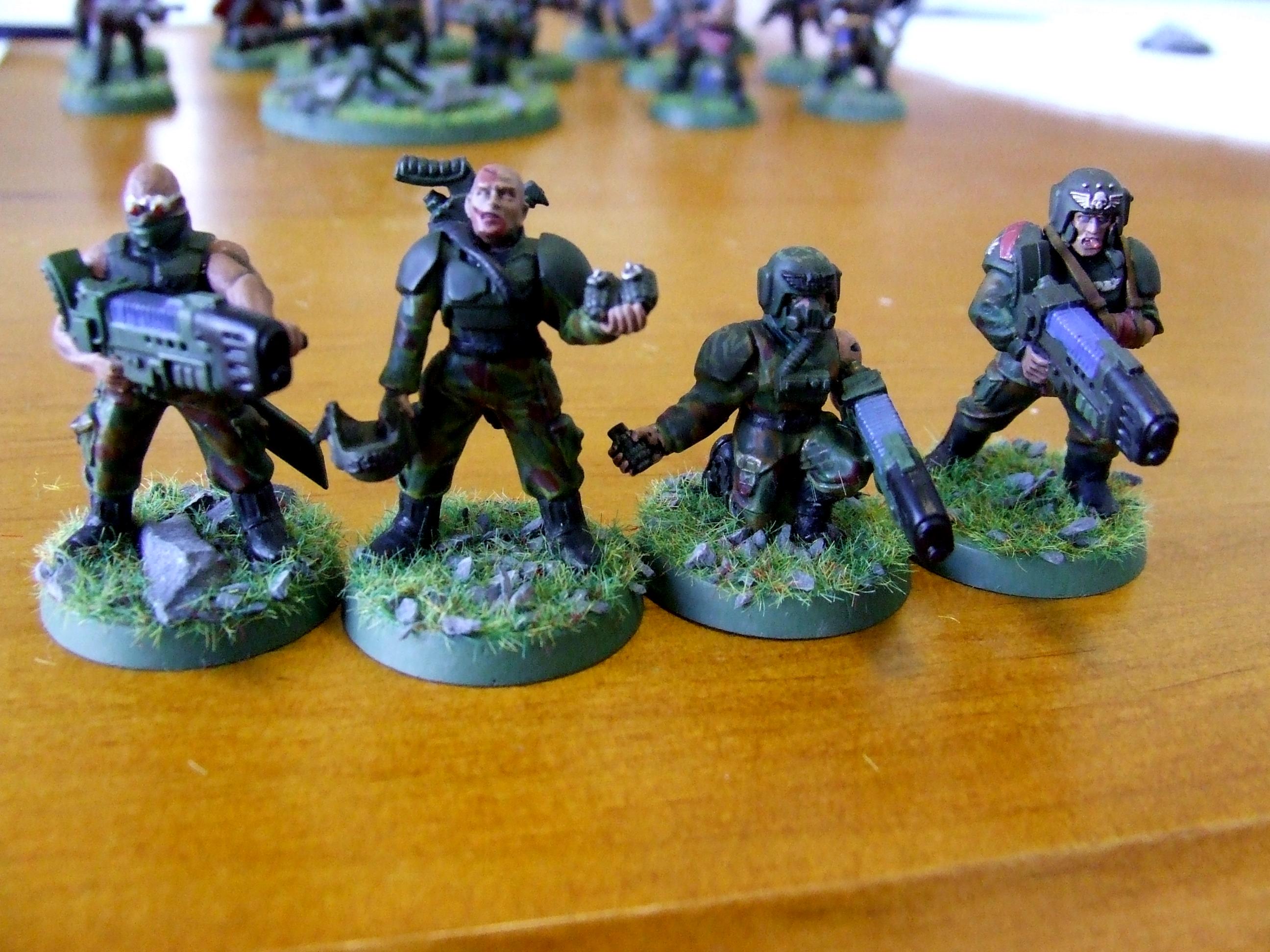 plasma vets