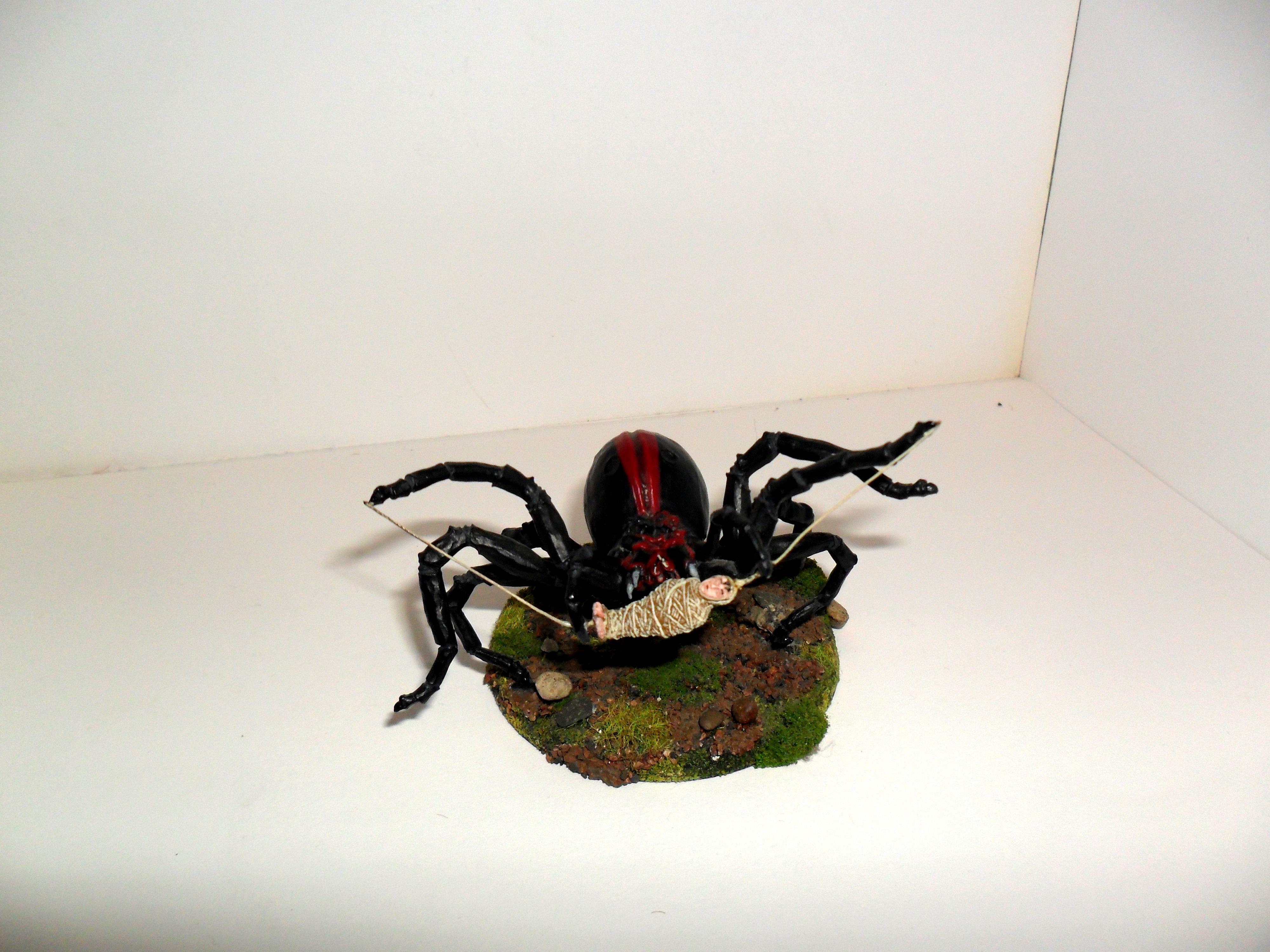 Warhammer Fantasy, all wraped up