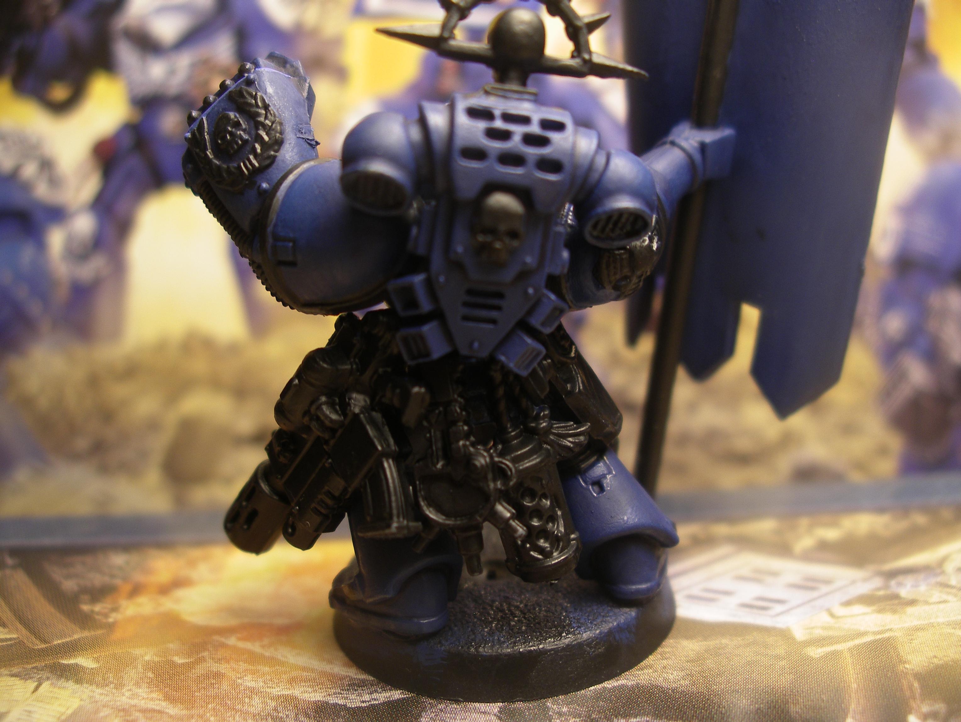 standard bearer back