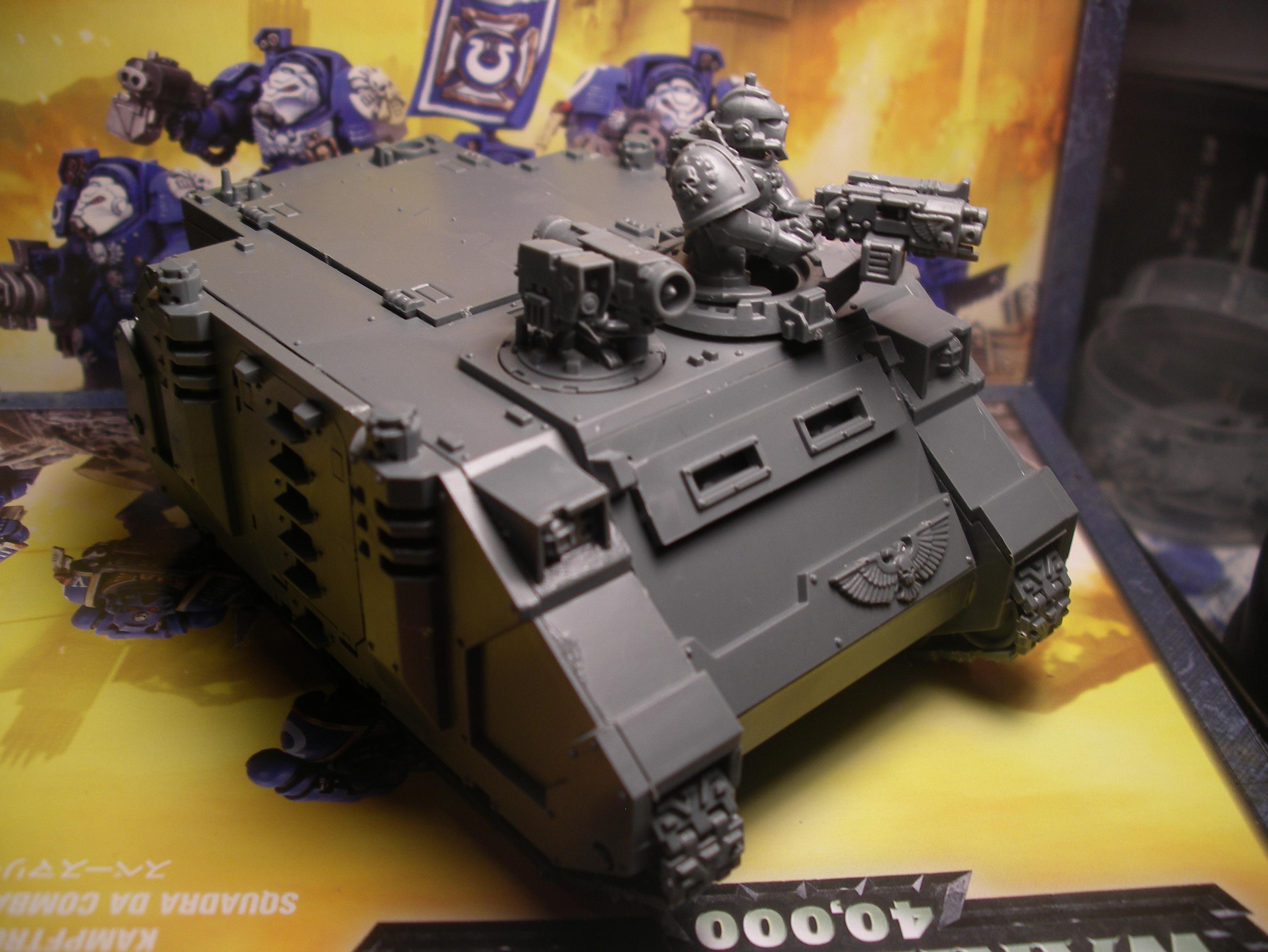 rhino 