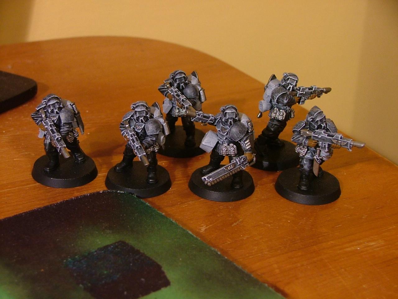 Wip vets