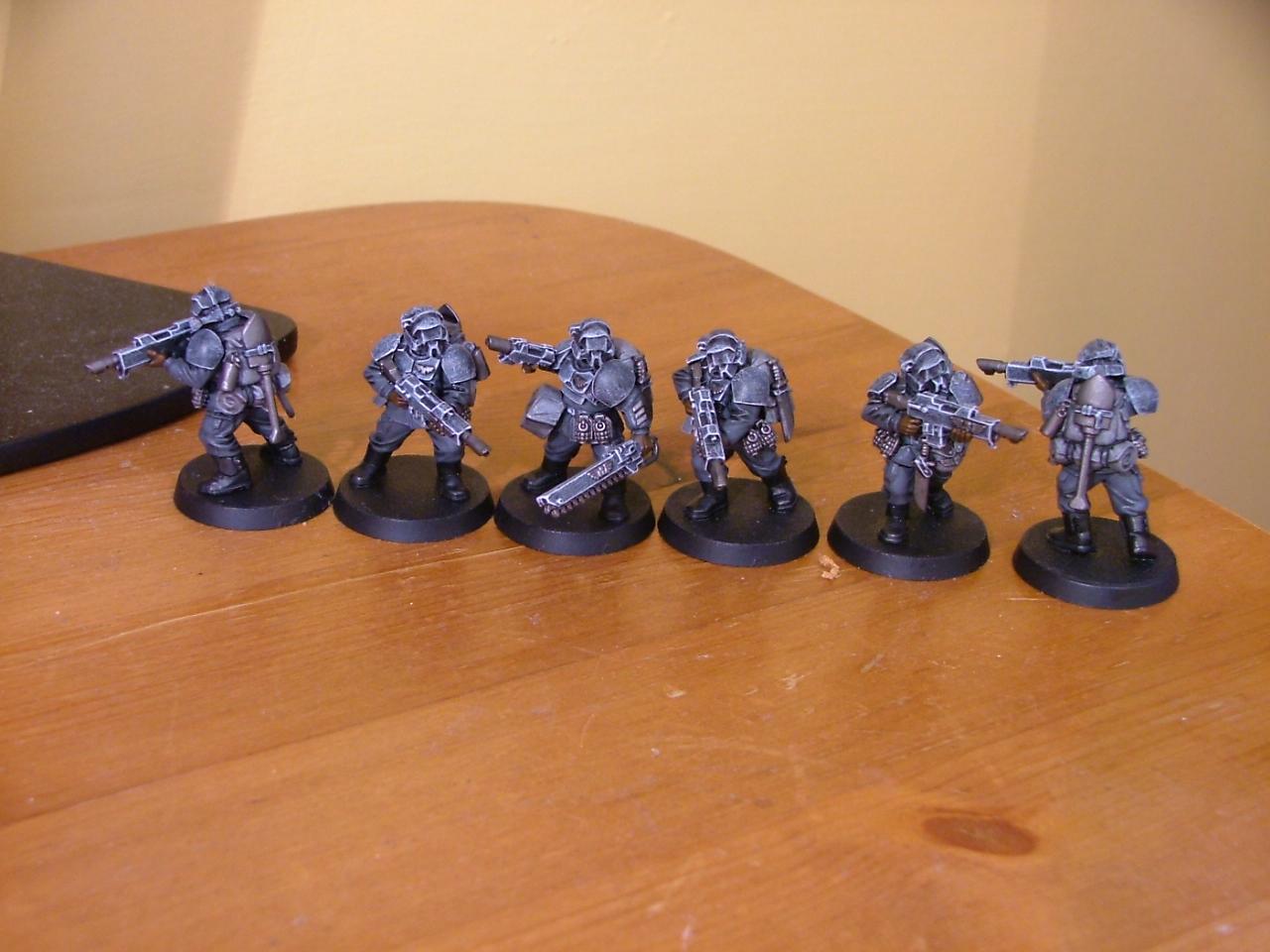Wip vets