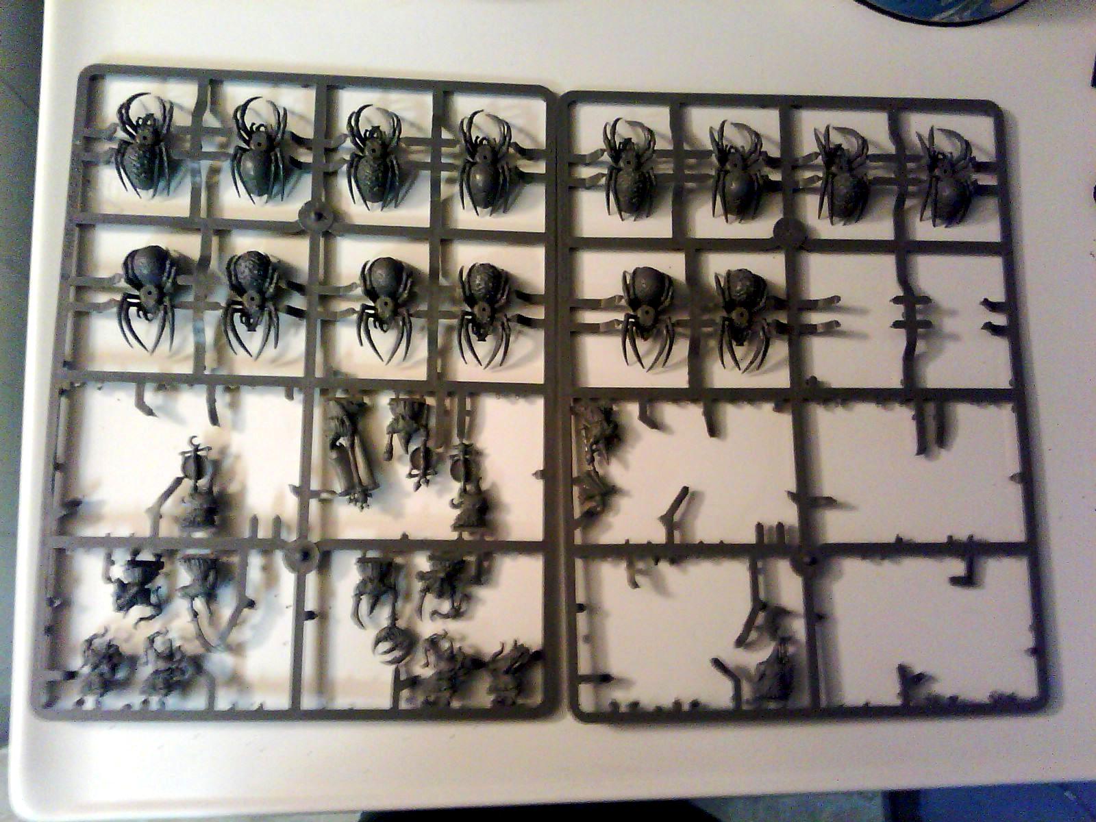 Sale, Spider Riders 1
