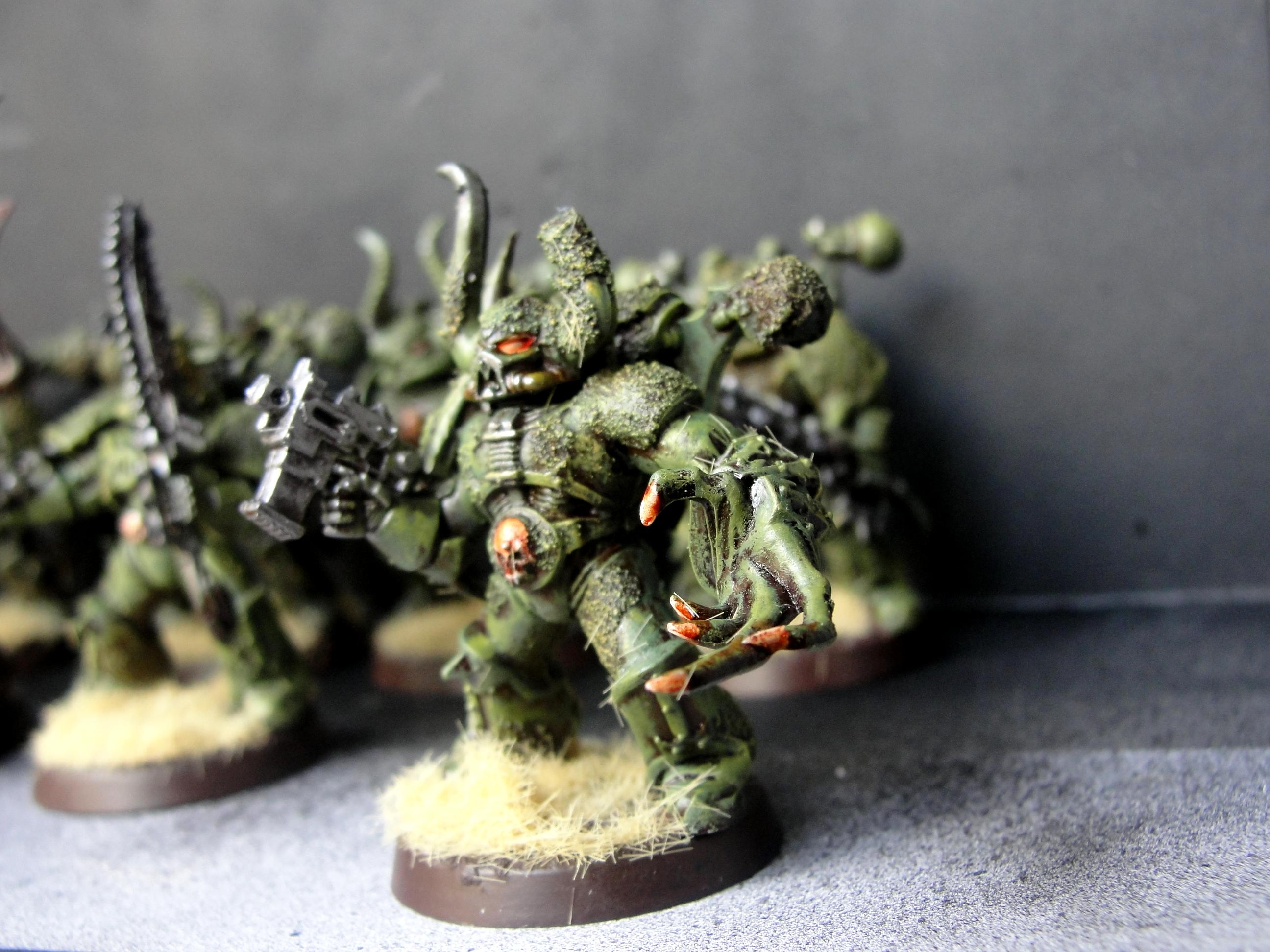 Chaos Space Marines, Chaos space marine of Nurgle