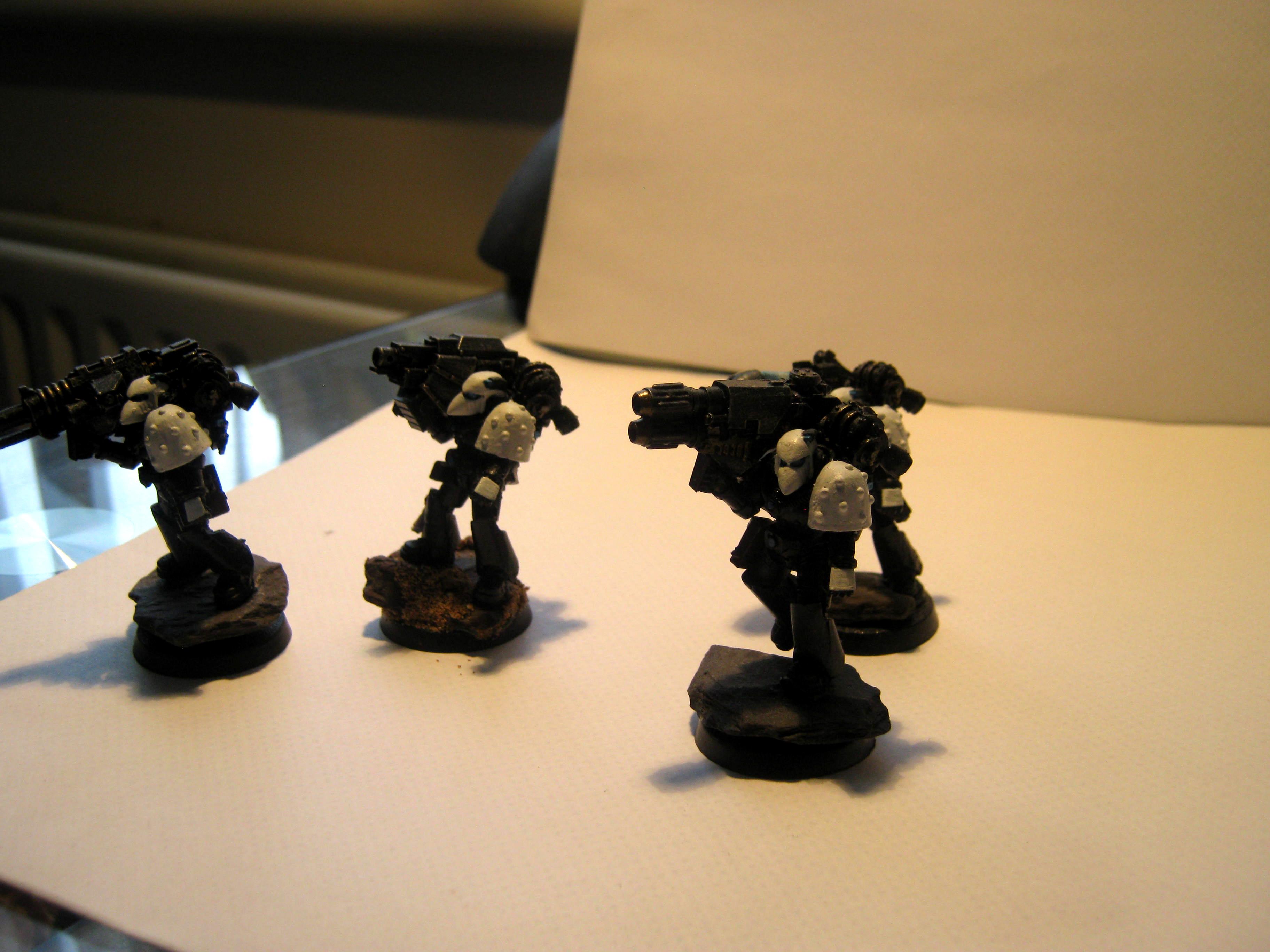 Raven Guard