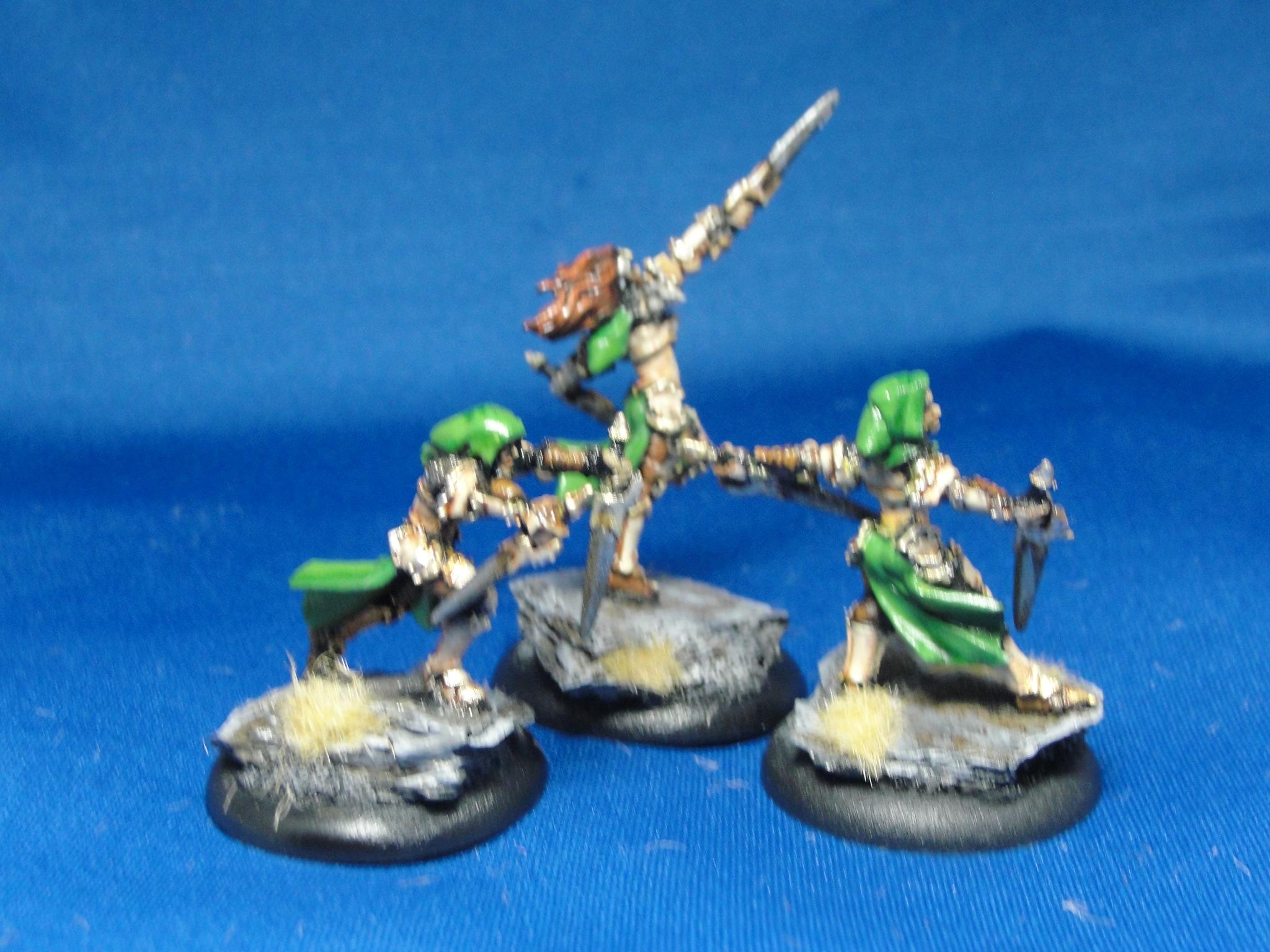 Warmachine, Protectorate of Menoth, Daughters of the Flame
