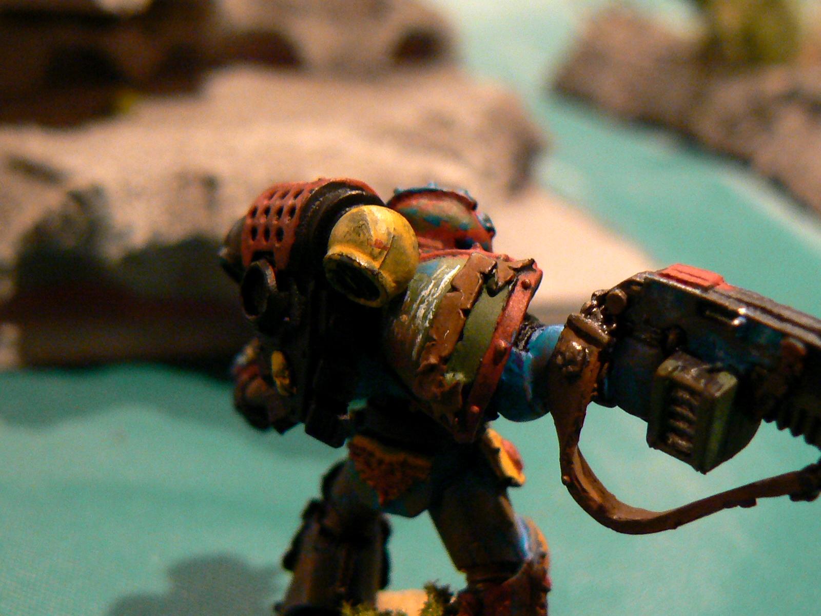 Knights Of Solstice, Space Marines, Warhammer 40,000