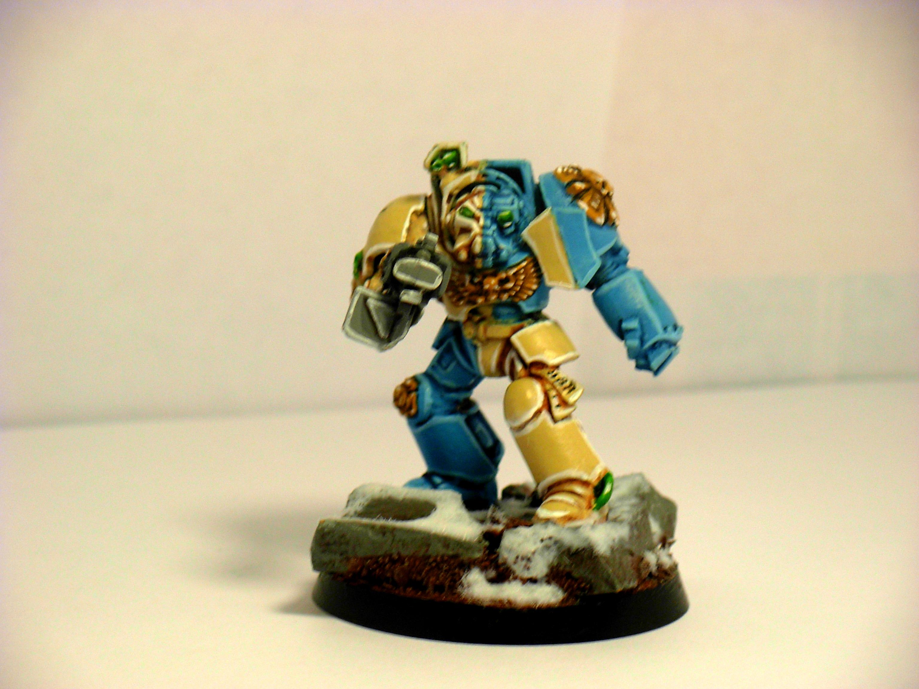 Nova Marine Terminator