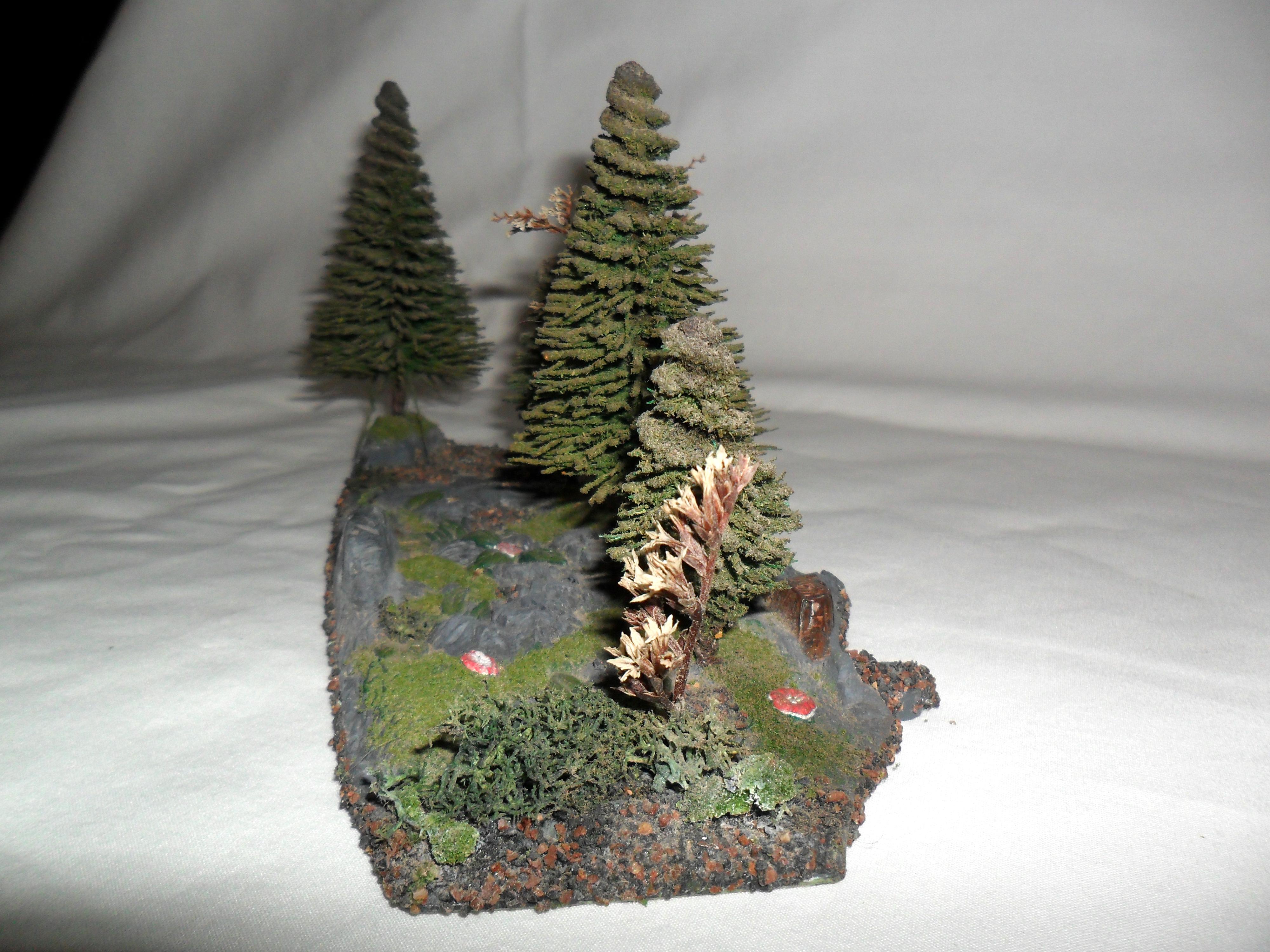 Base, Terrain
