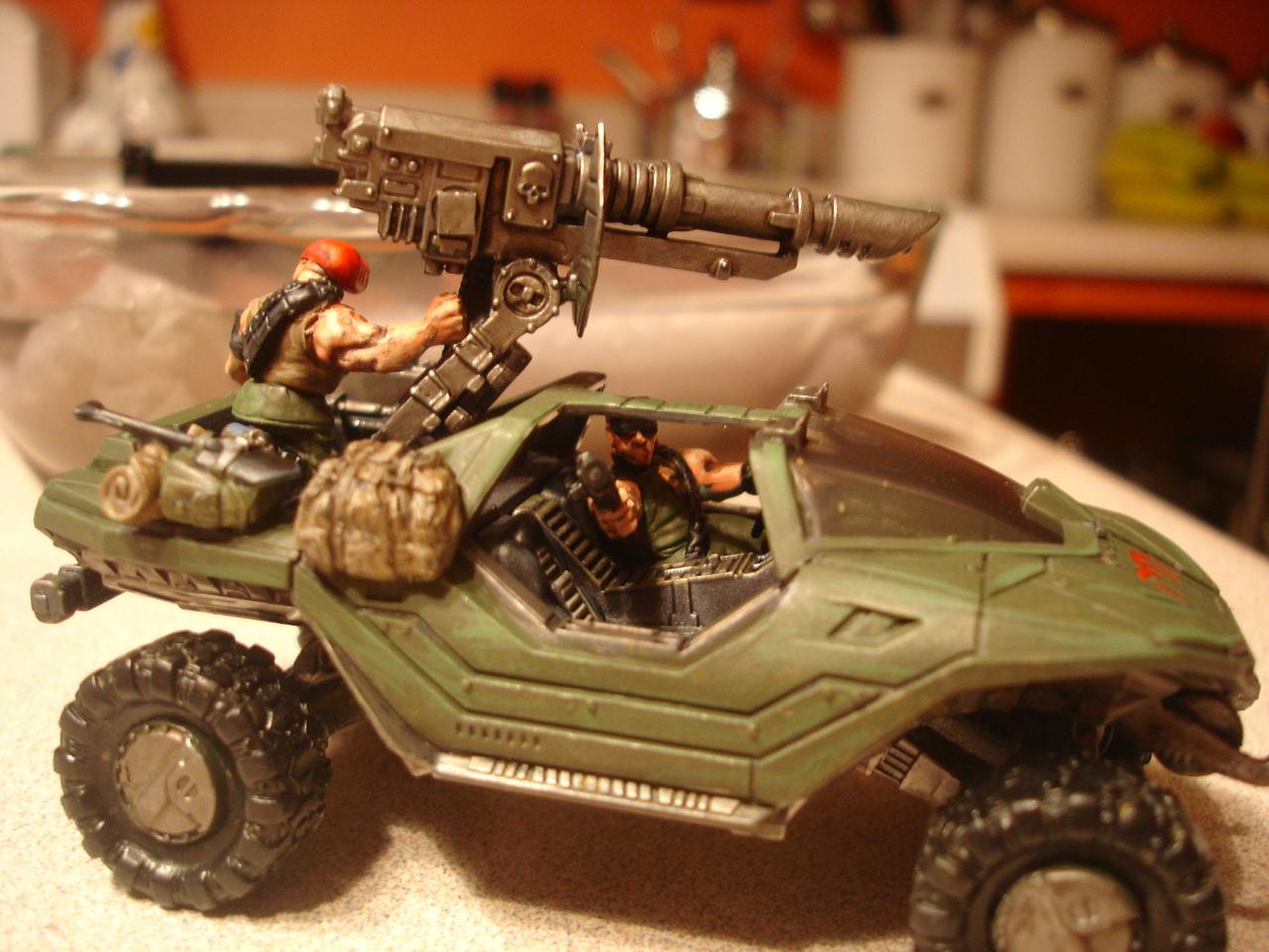 Catachan, Imperial Guard, Warhammer 40,000, Warhammer Fantasy