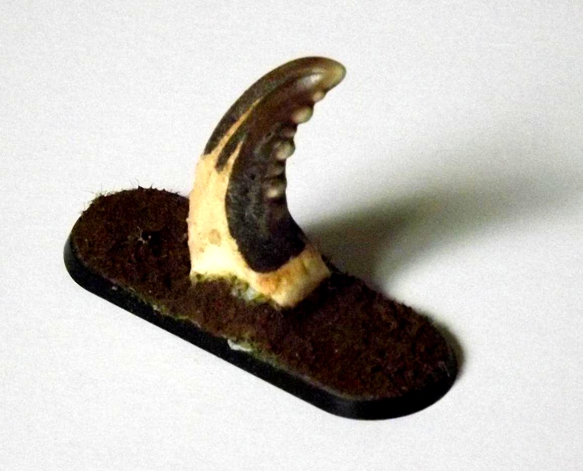 Objective Marker, claw objective marker