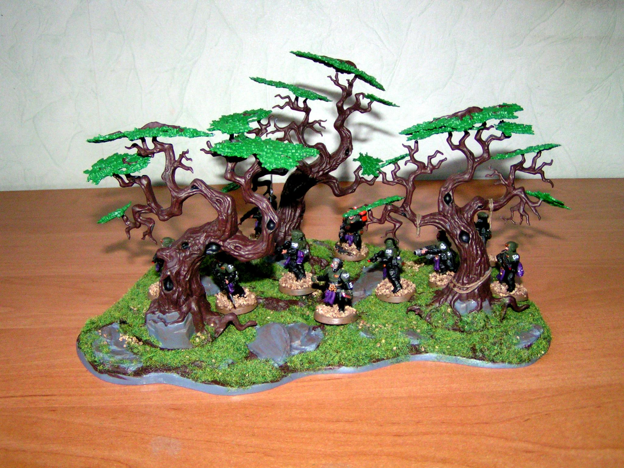 Forest, Hills, Terrain