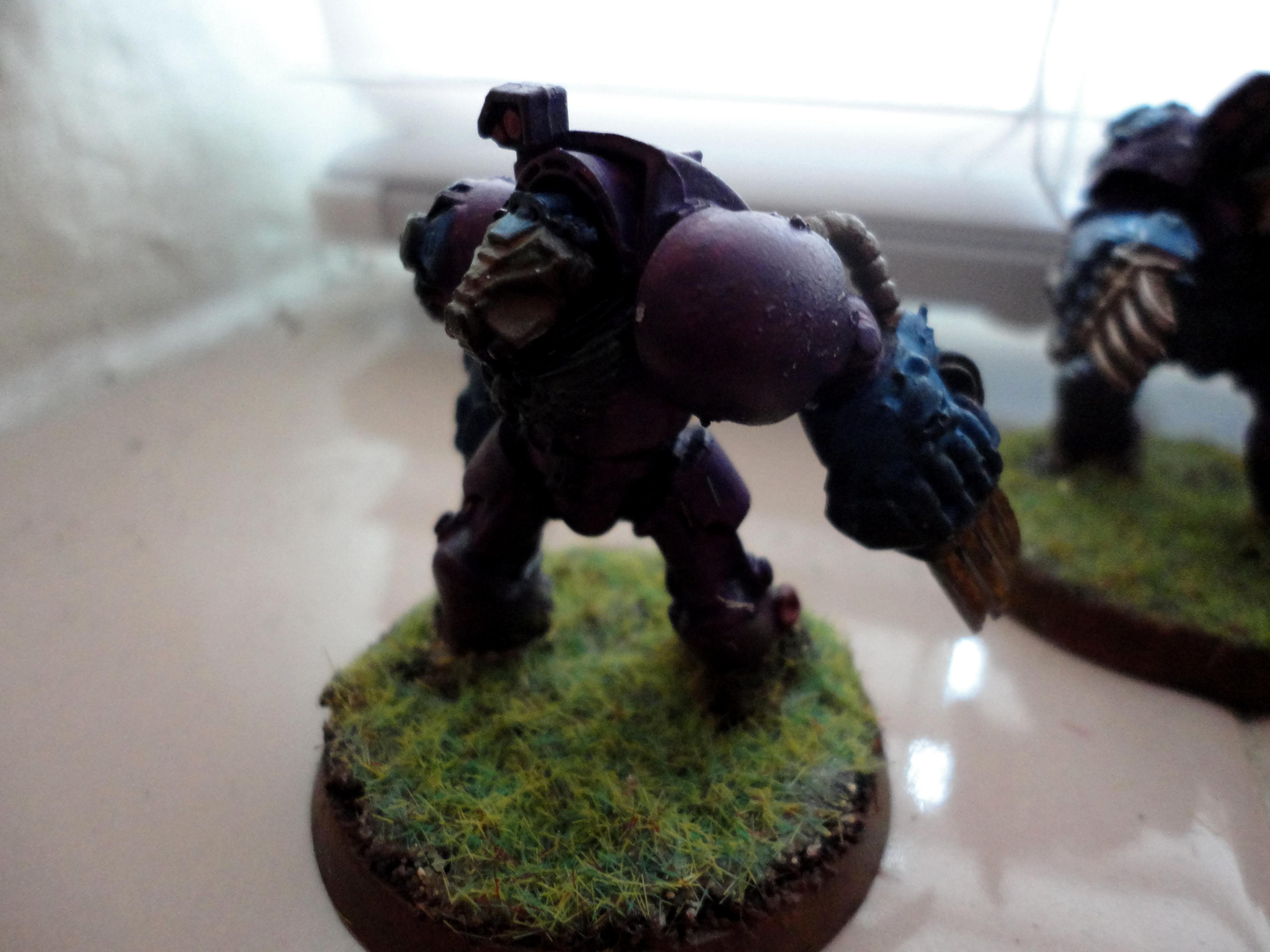 Space Marines, Terminator Armor