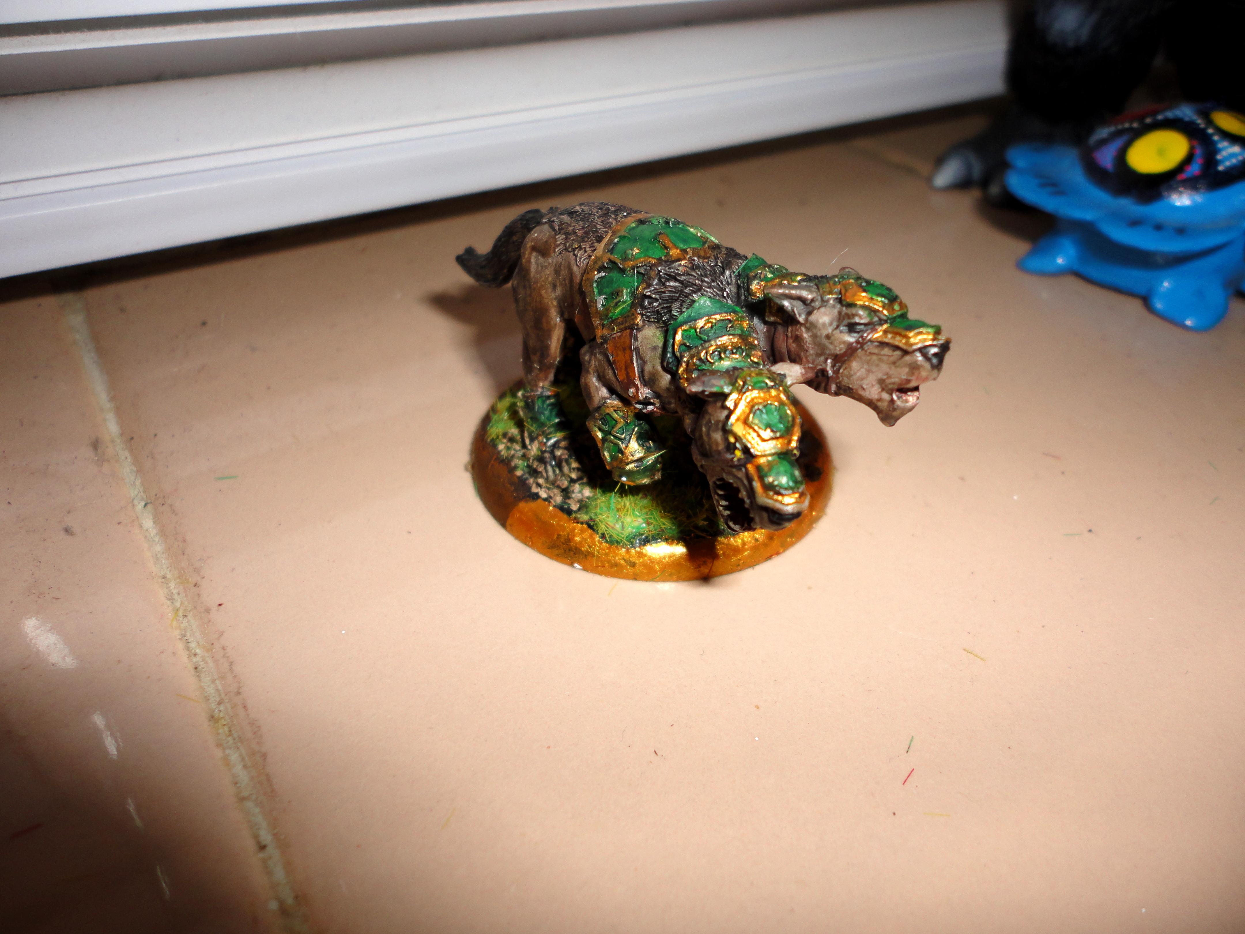 Argus